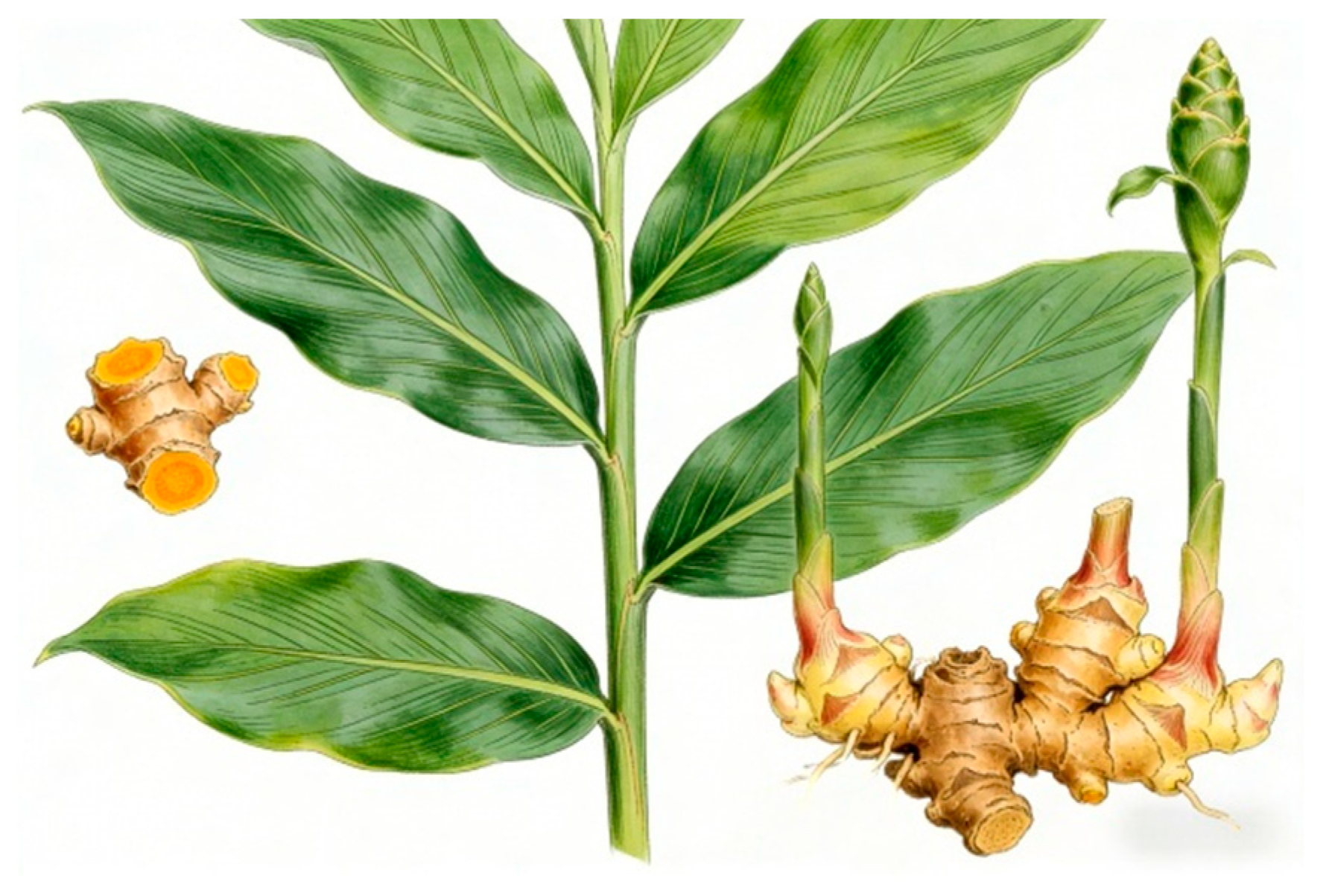 Nutrients 18 01197 g002