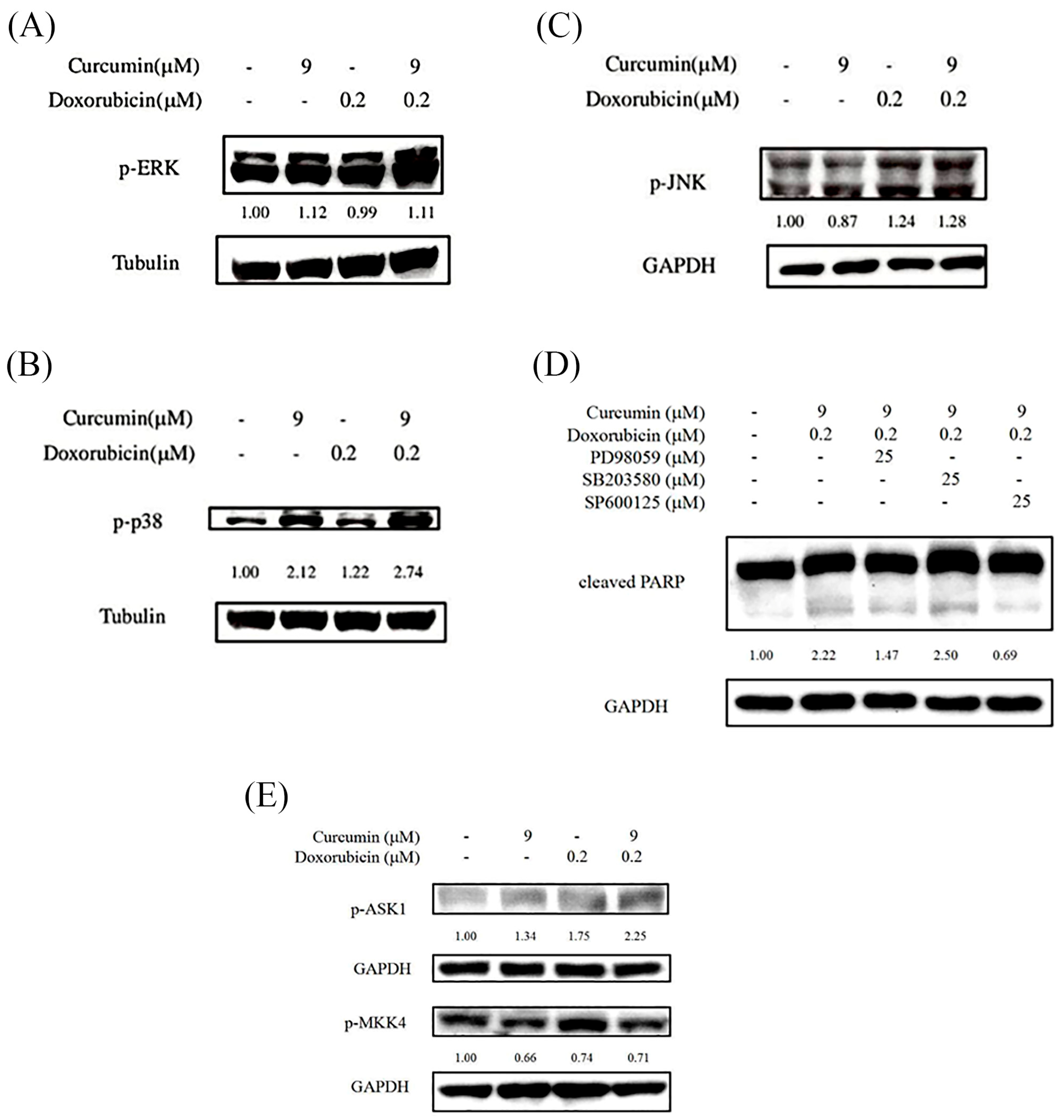 Nutrients 18 01235 g004