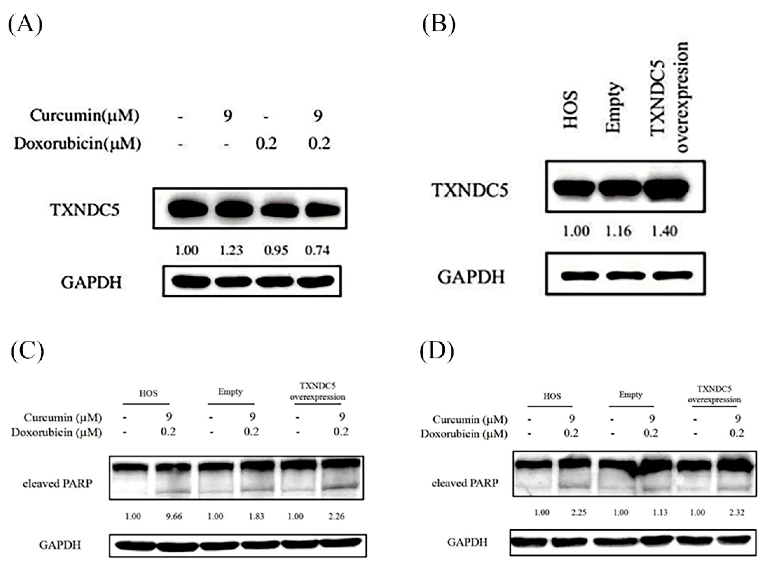 Nutrients 18 01235 g005