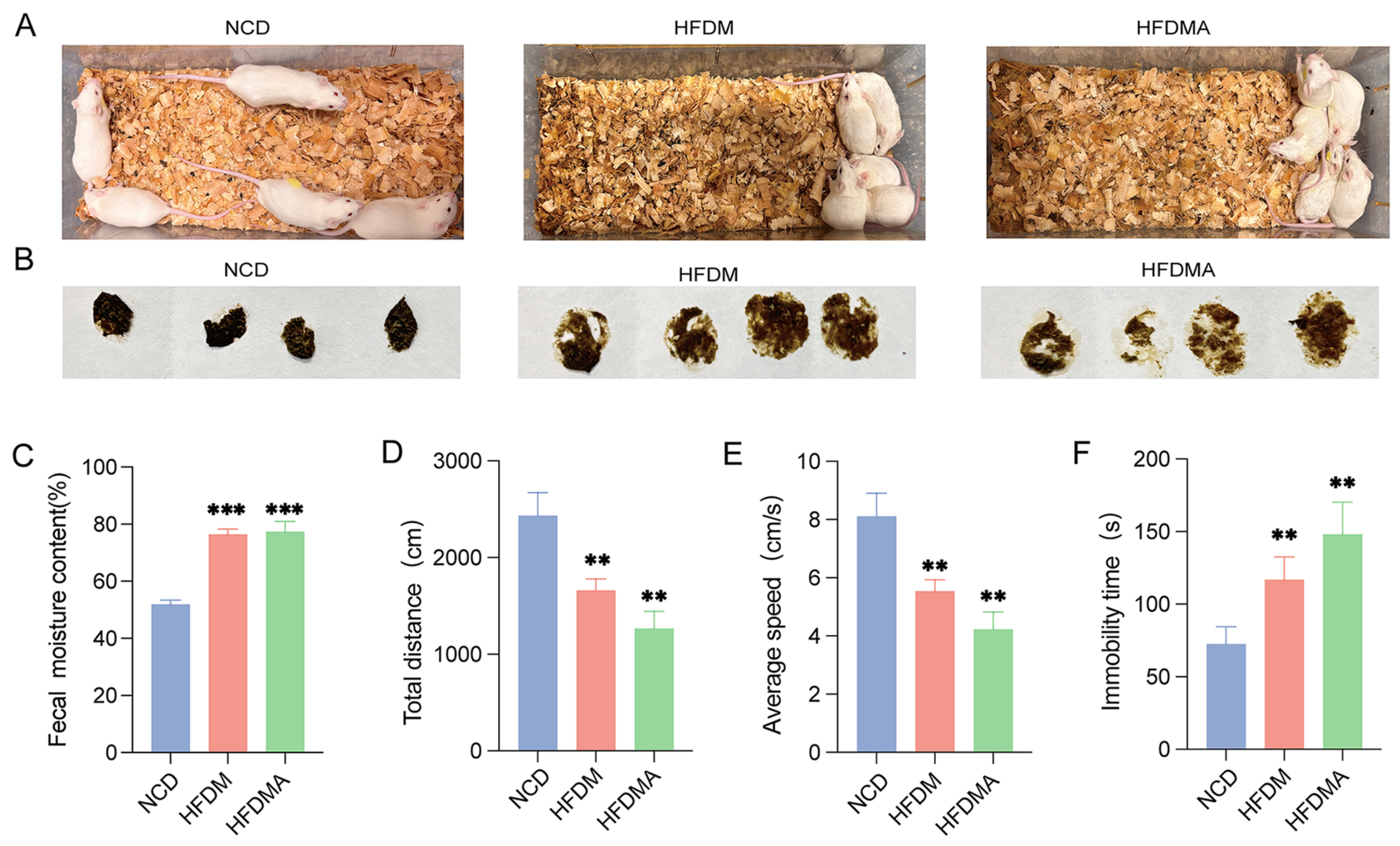 Nutrients 18 01317 g002