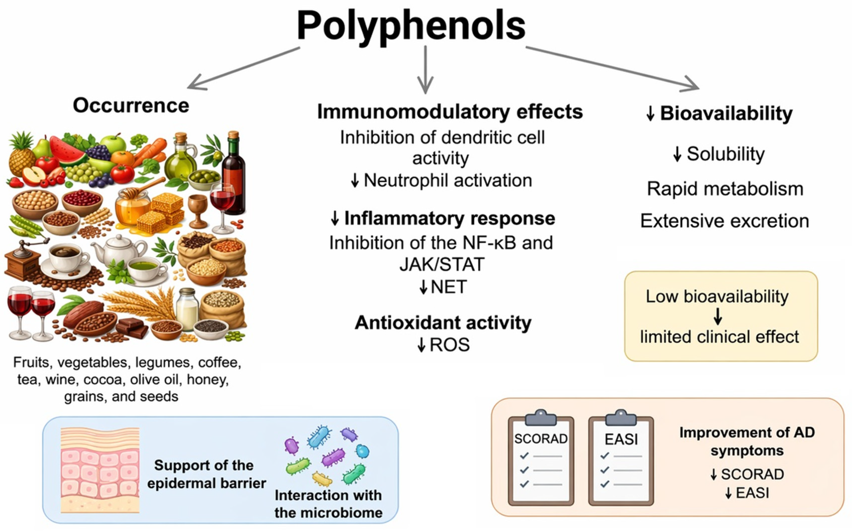 Nutrients 18 01365 g001 Nutrients 18 01365 g001