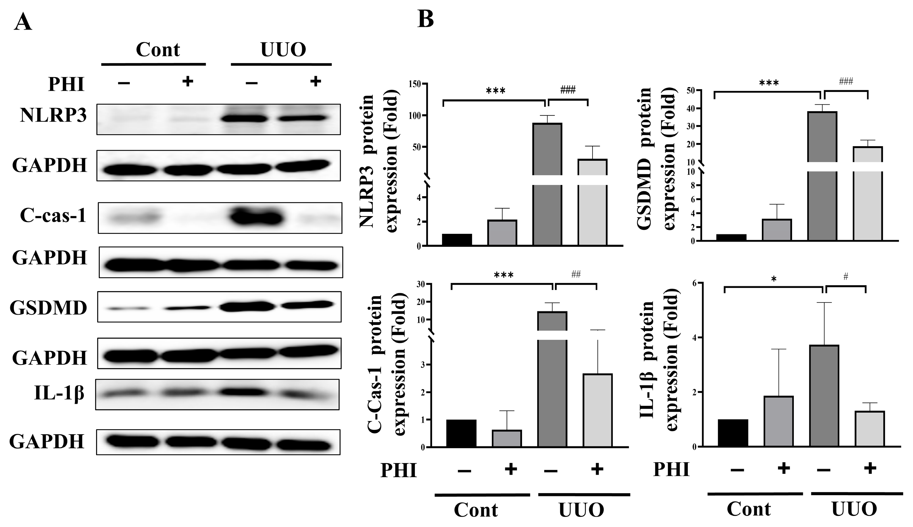 Nutrients 18 01421 g005 Nutrients 18 01421 g005