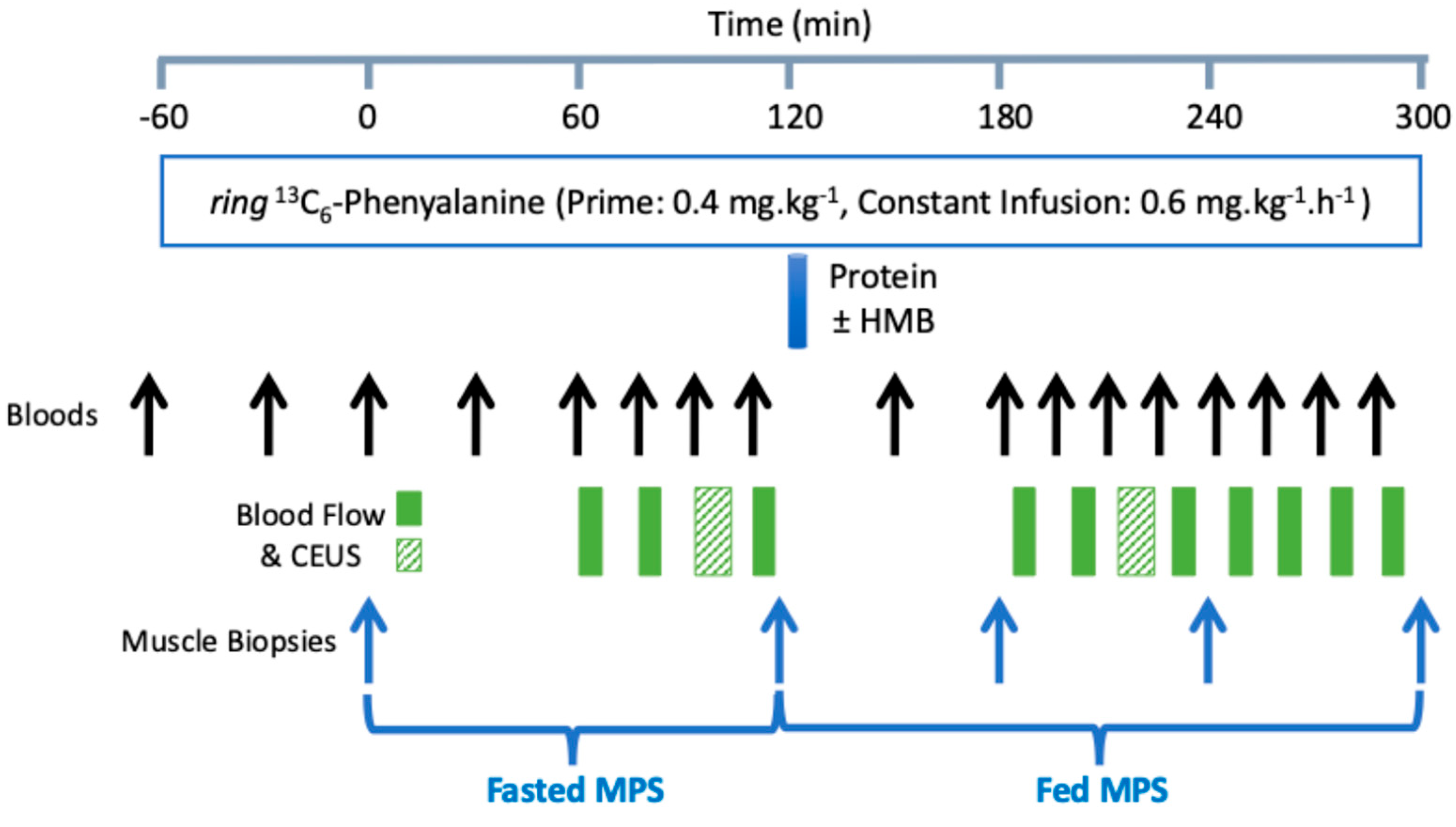 Nutrients 18 01449 g001 Nutrients 18 01449 g001
