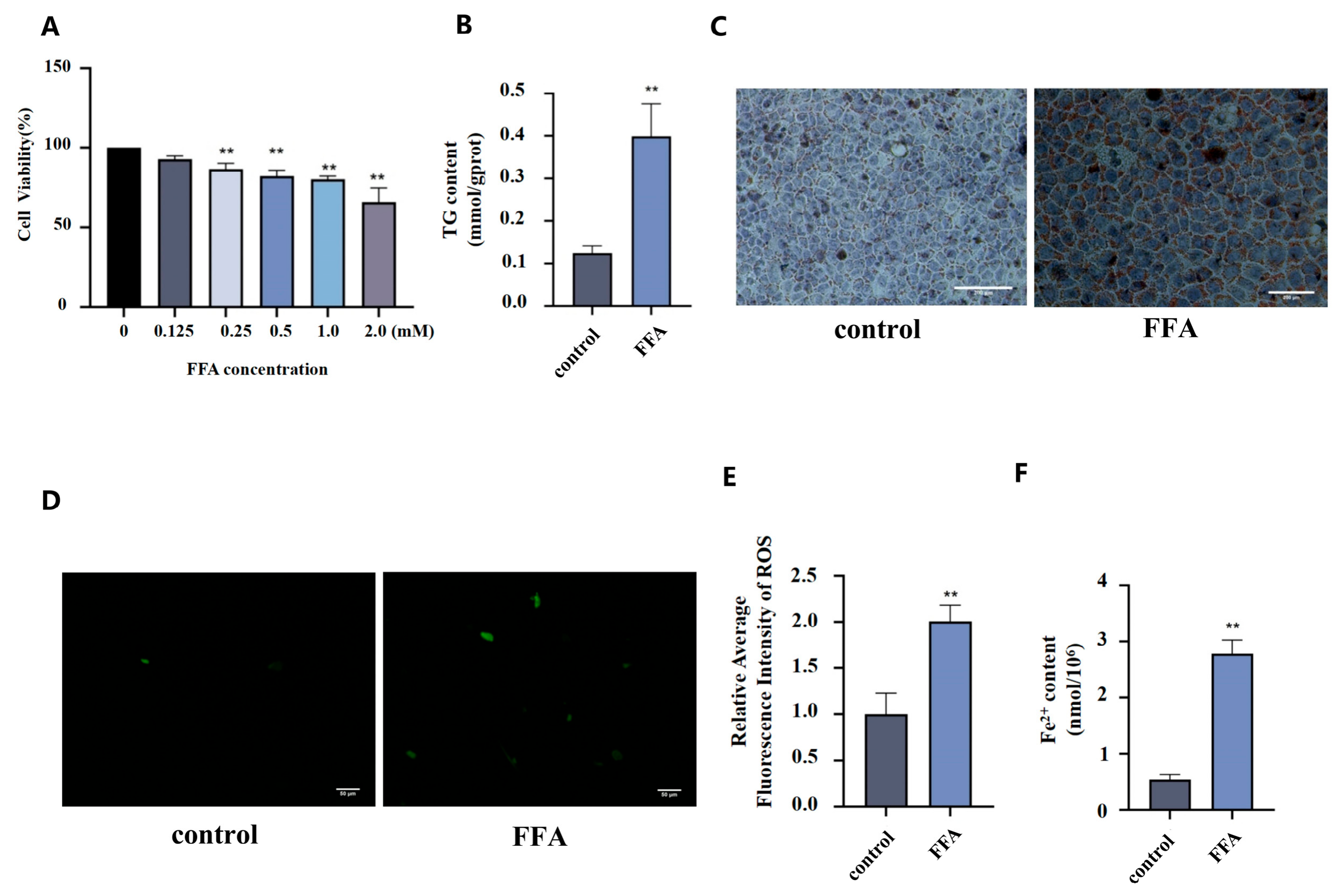 Nutrients 18 01469 g005