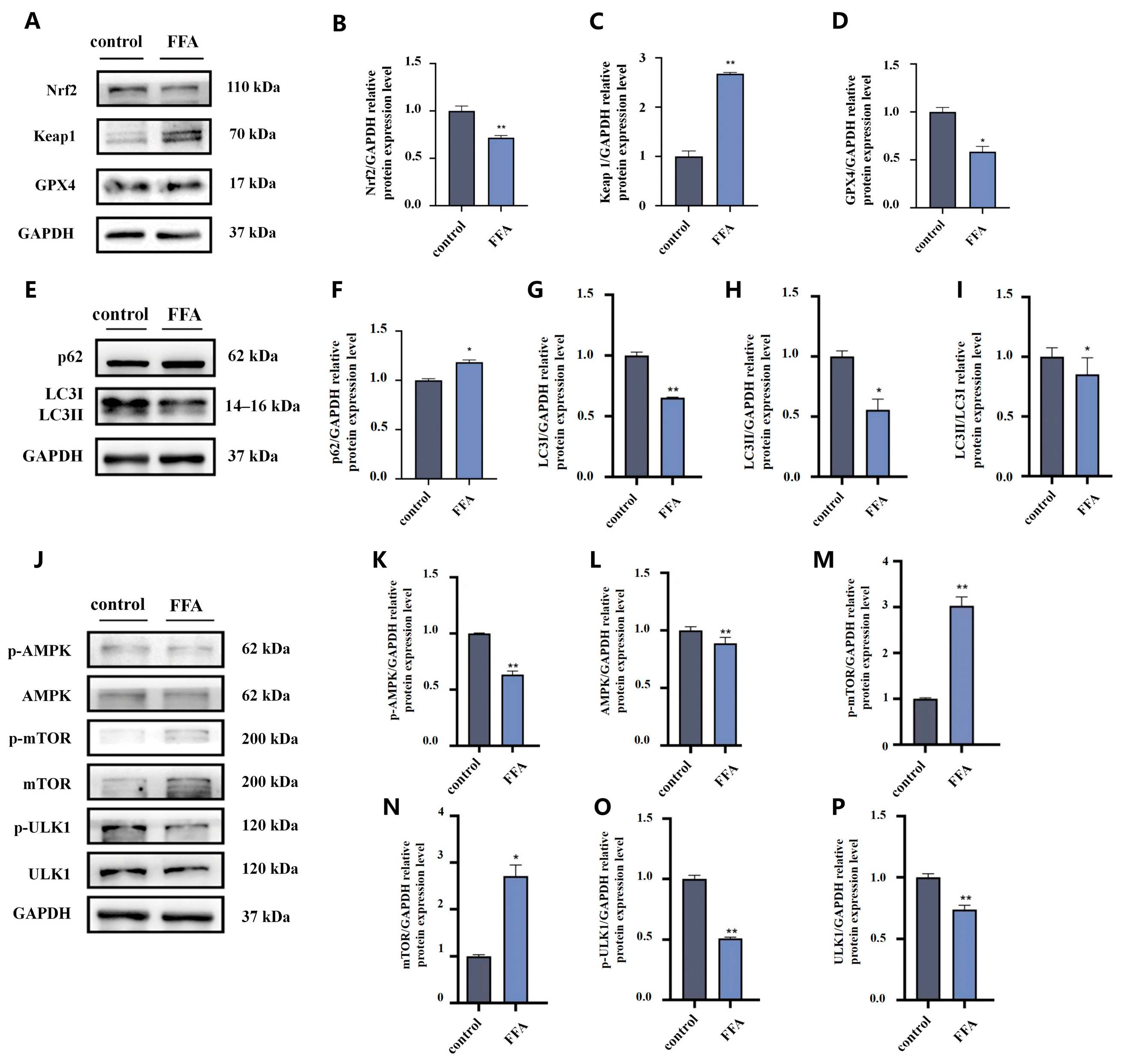Nutrients 18 01469 g006