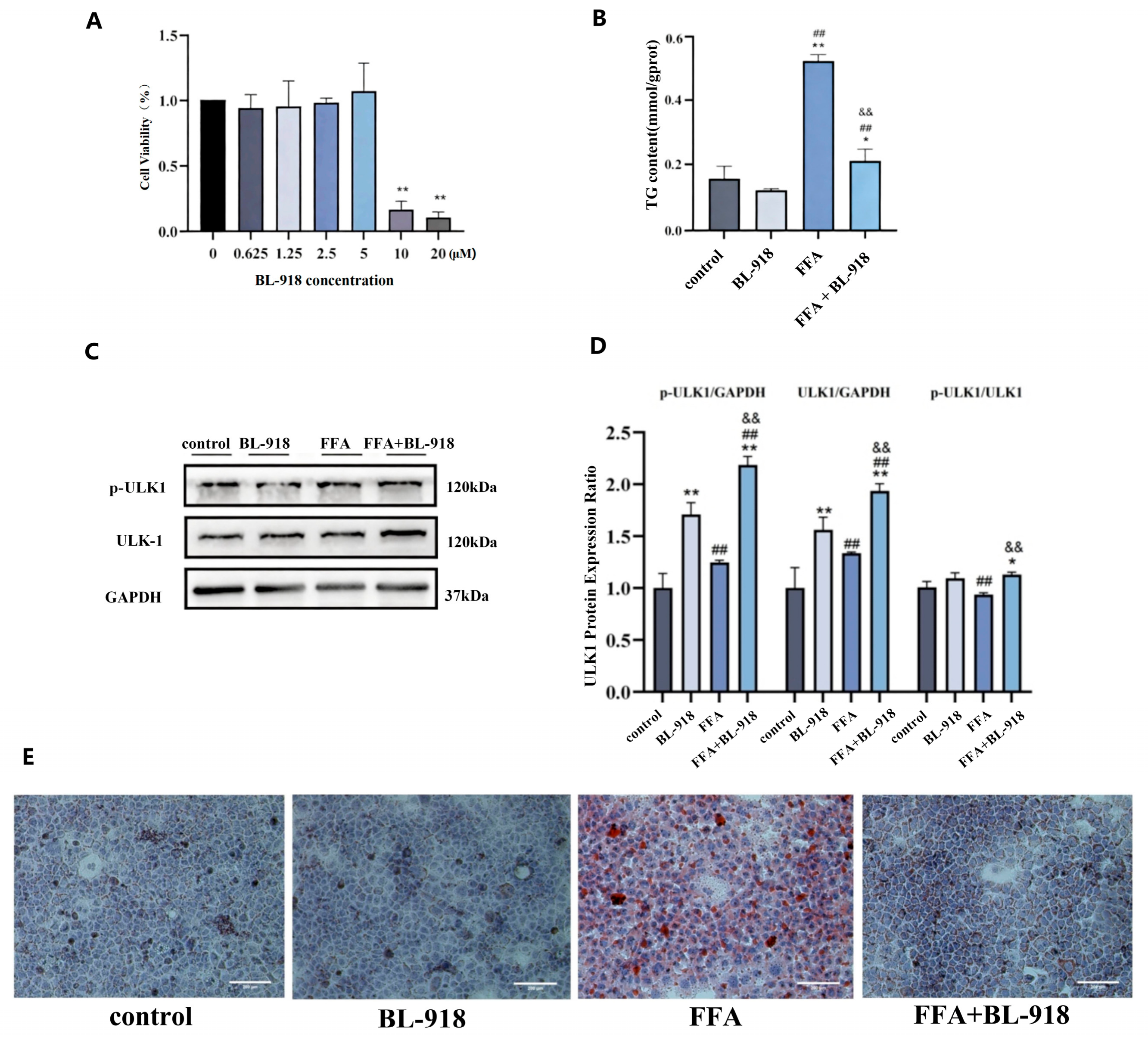 Nutrients 18 01469 g007