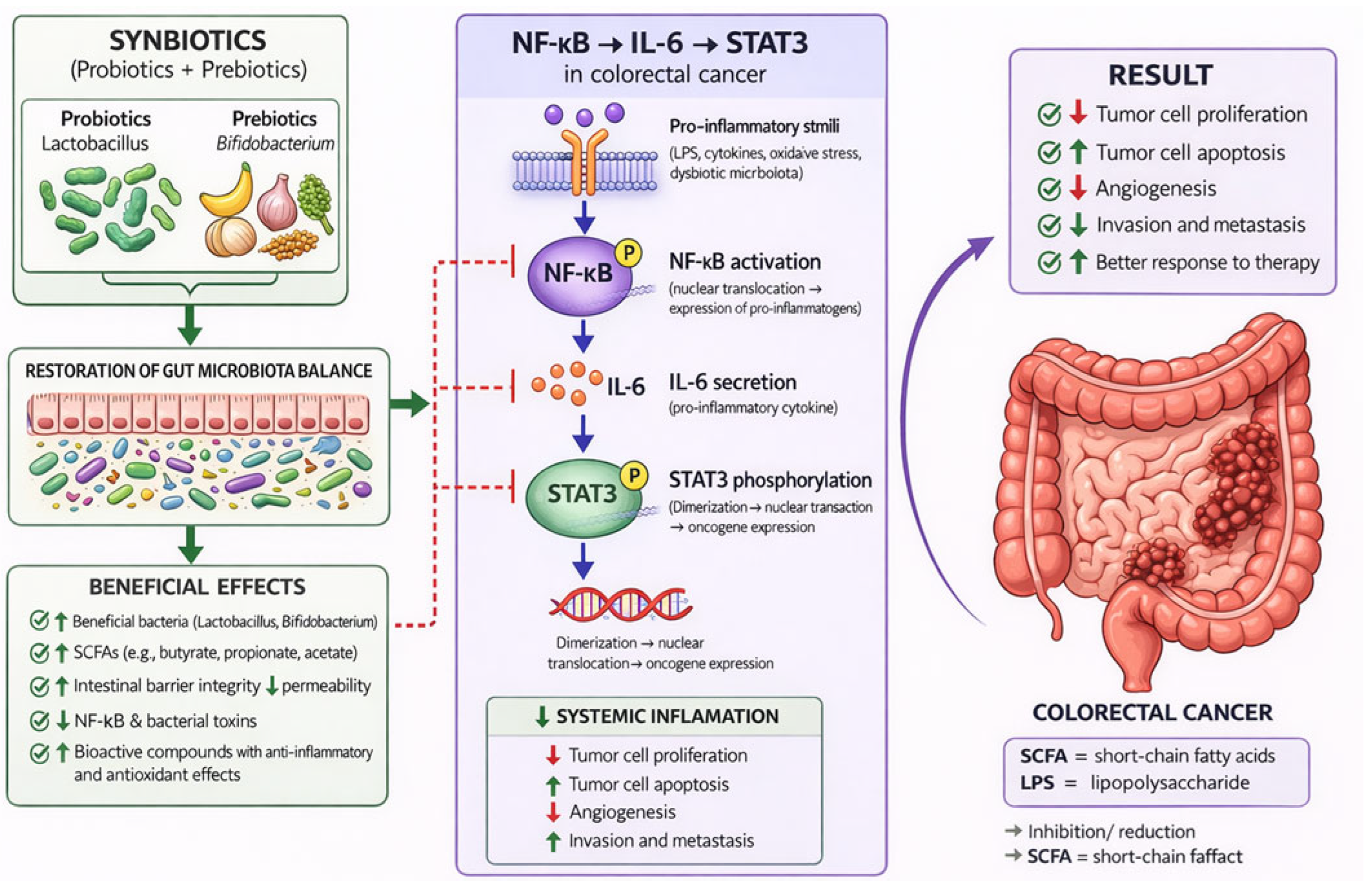 Nutrients 18 01591 g003