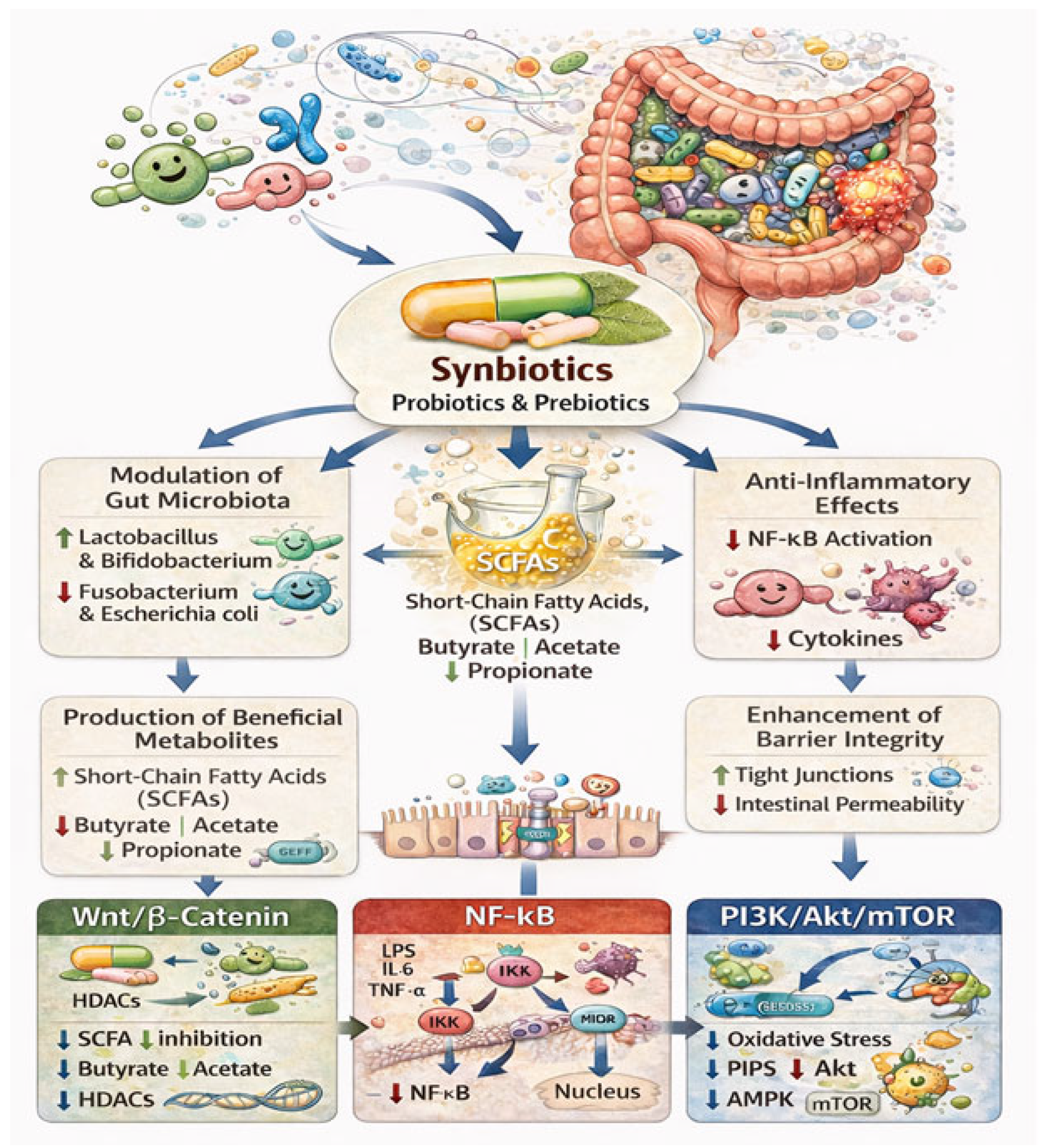 Nutrients 18 01591 g005