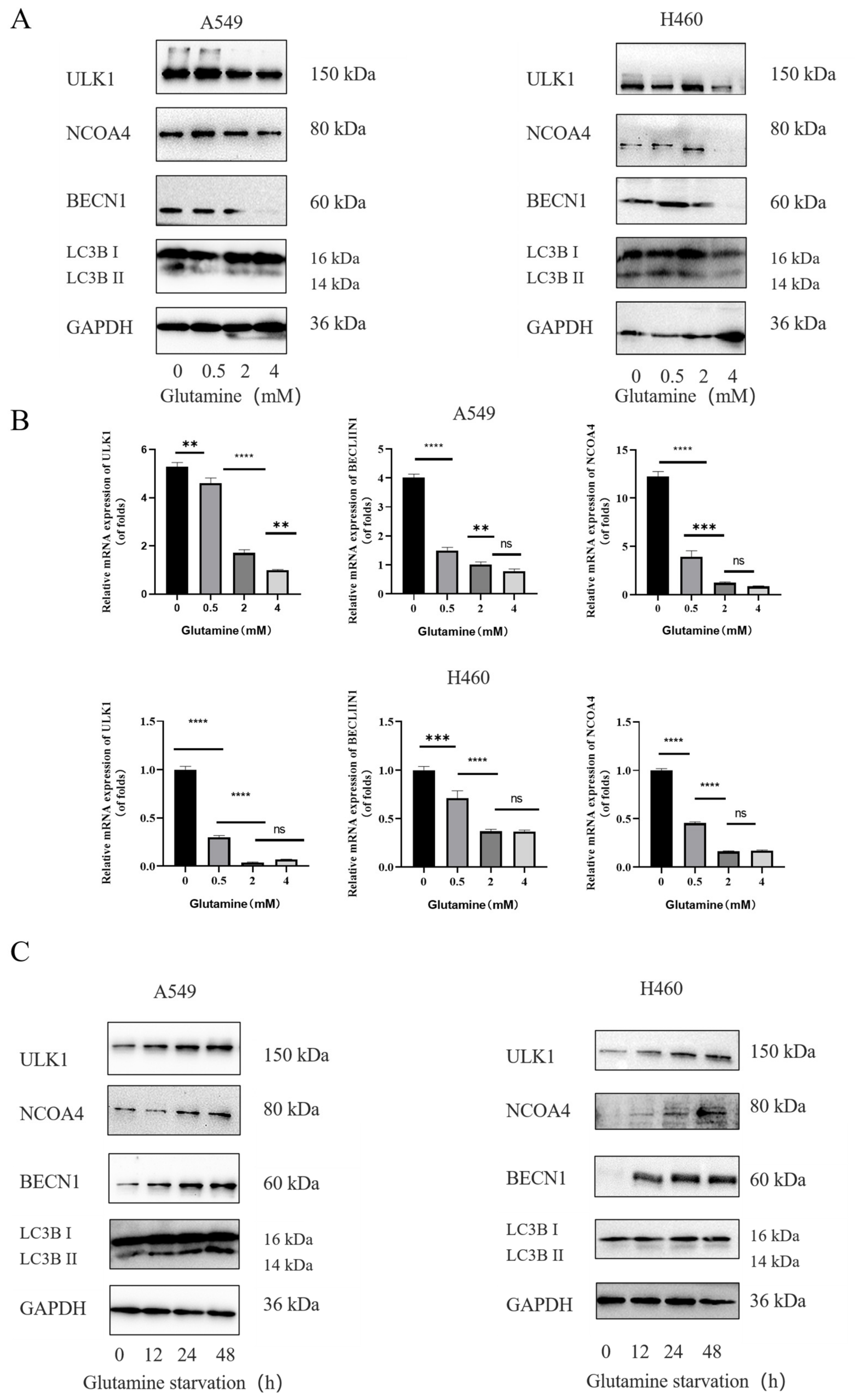 Nutrients 18 01596 g002 Nutrients 18 01596 g002