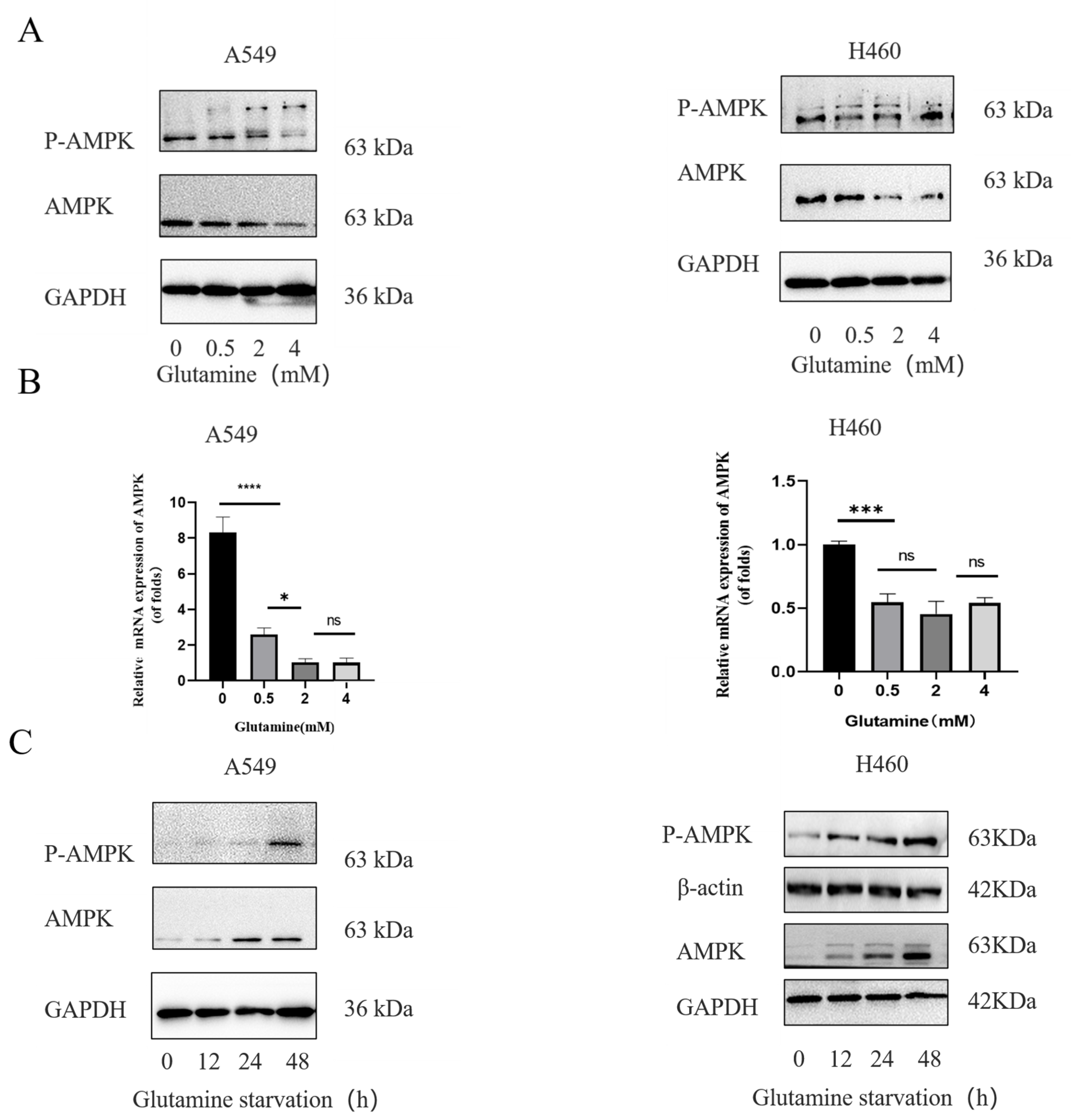 Nutrients 18 01596 g004 Nutrients 18 01596 g004