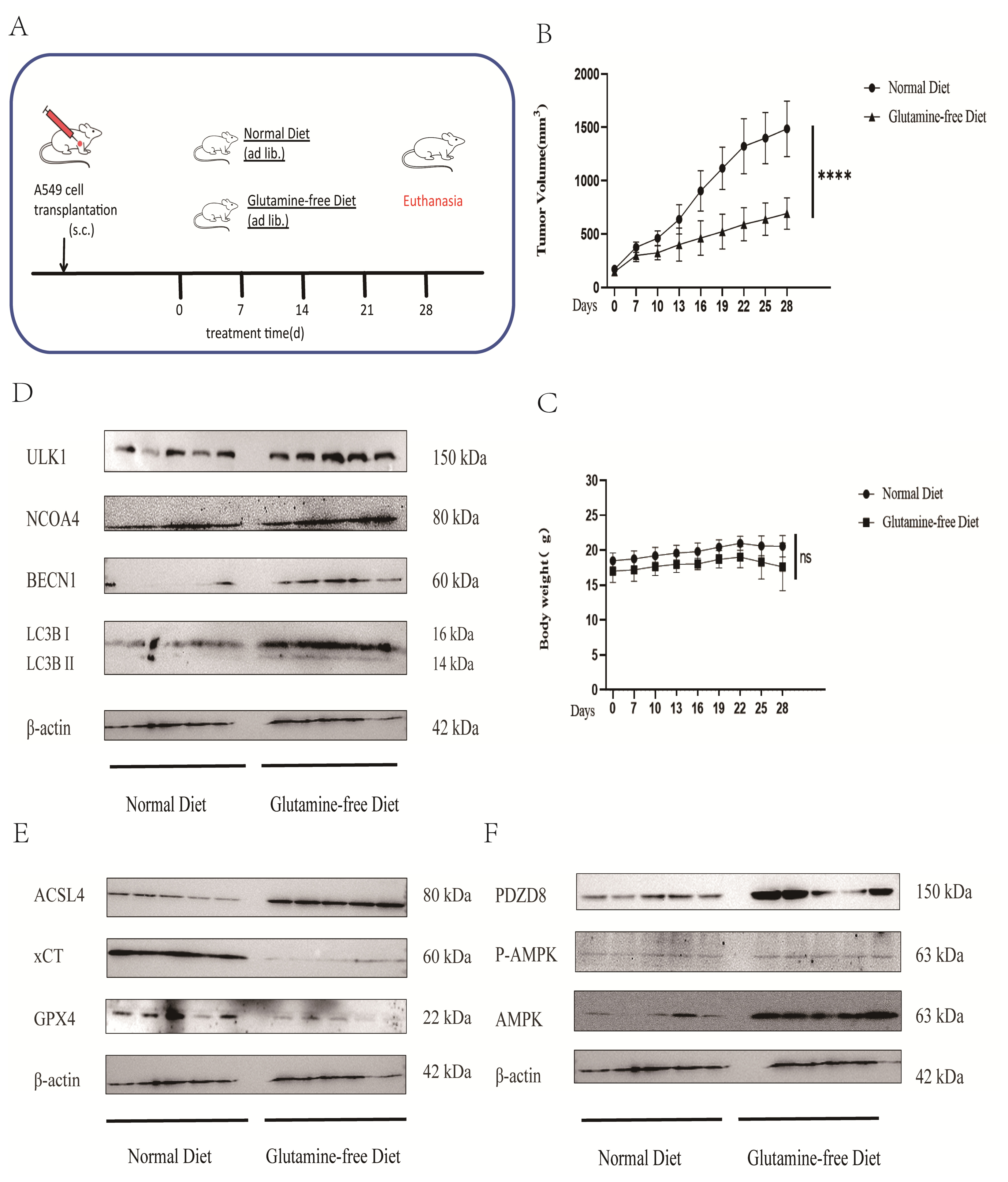 Nutrients 18 01596 g009 Nutrients 18 01596 g009