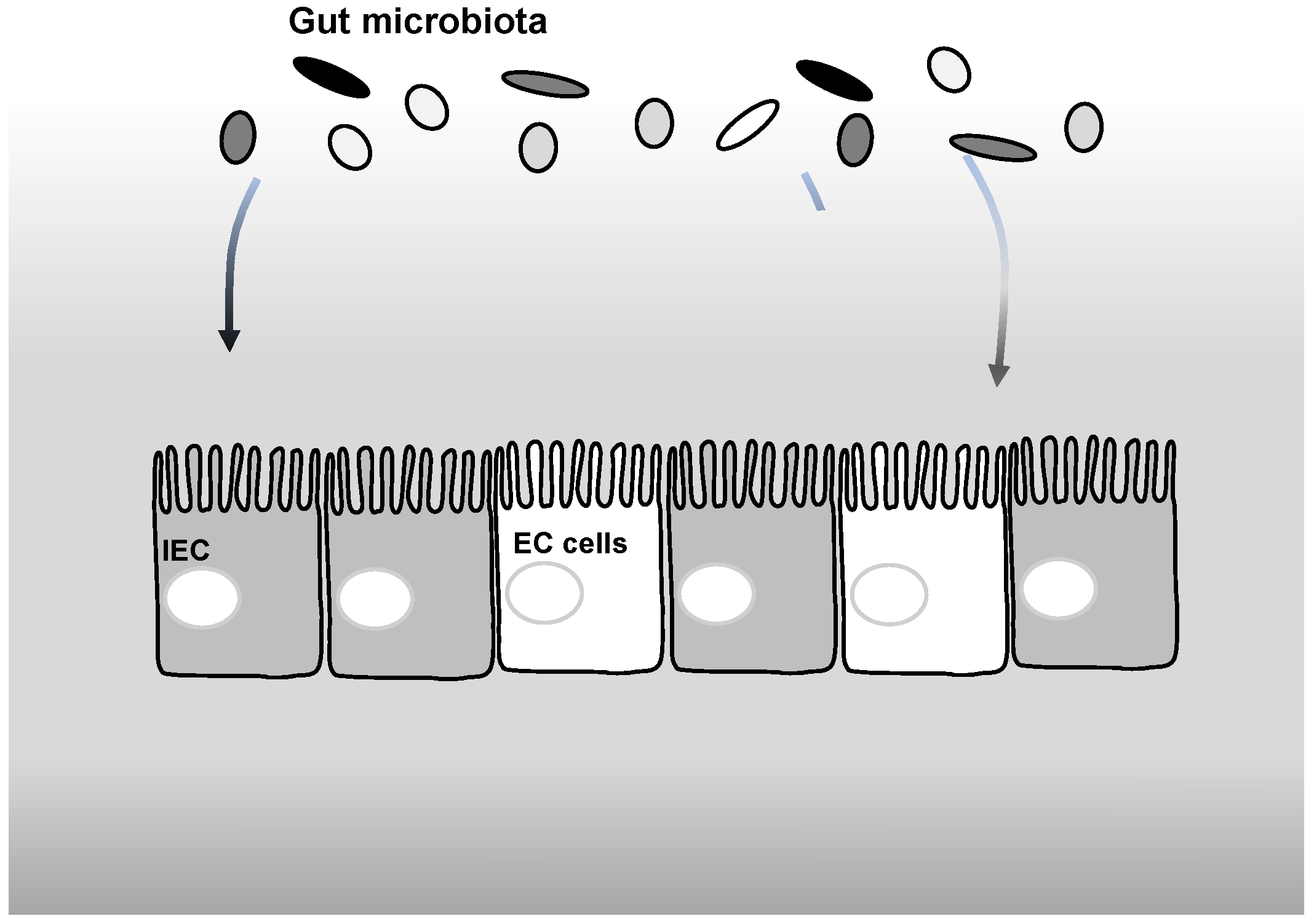 Nutrients 18 01606 g002