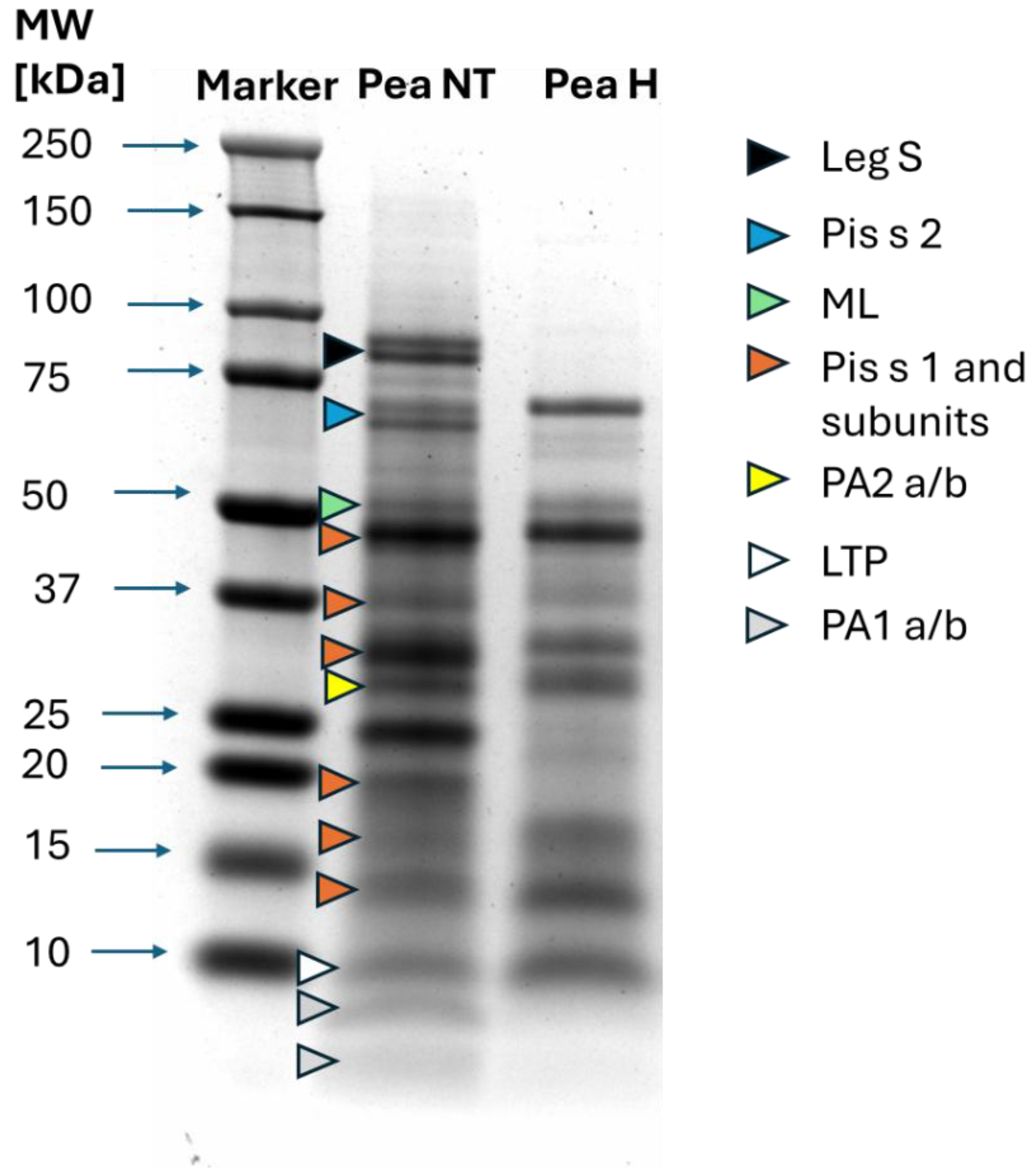 Nutrients 18 01612 g001 Nutrients 18 01612 g001