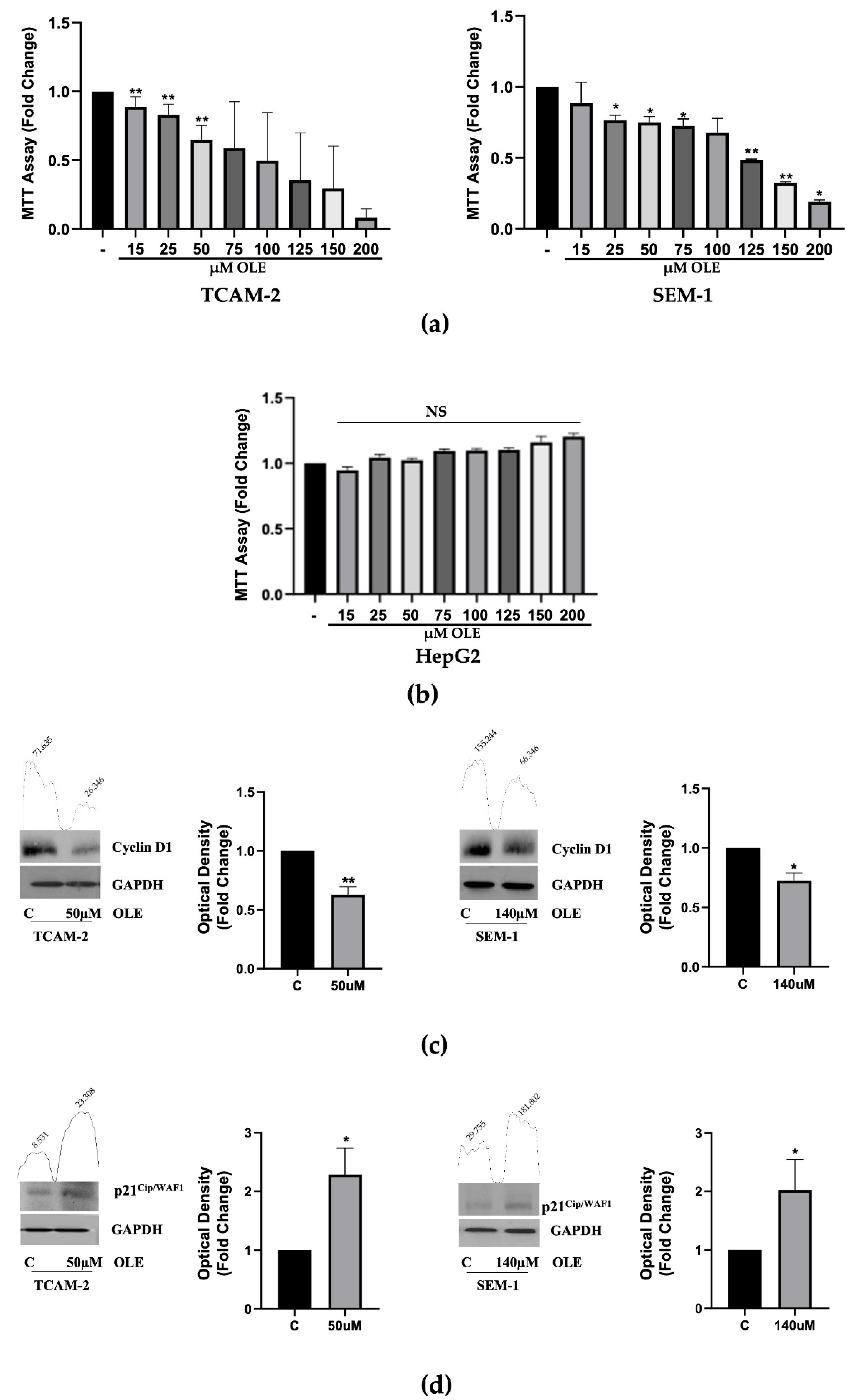 Nutrients 18 01632 g001 Nutrients 18 01632 g001