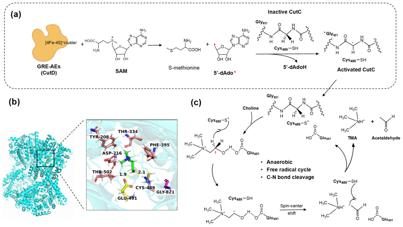 Nutrients 18 01659 g002 Nutrients 18 01659 g002