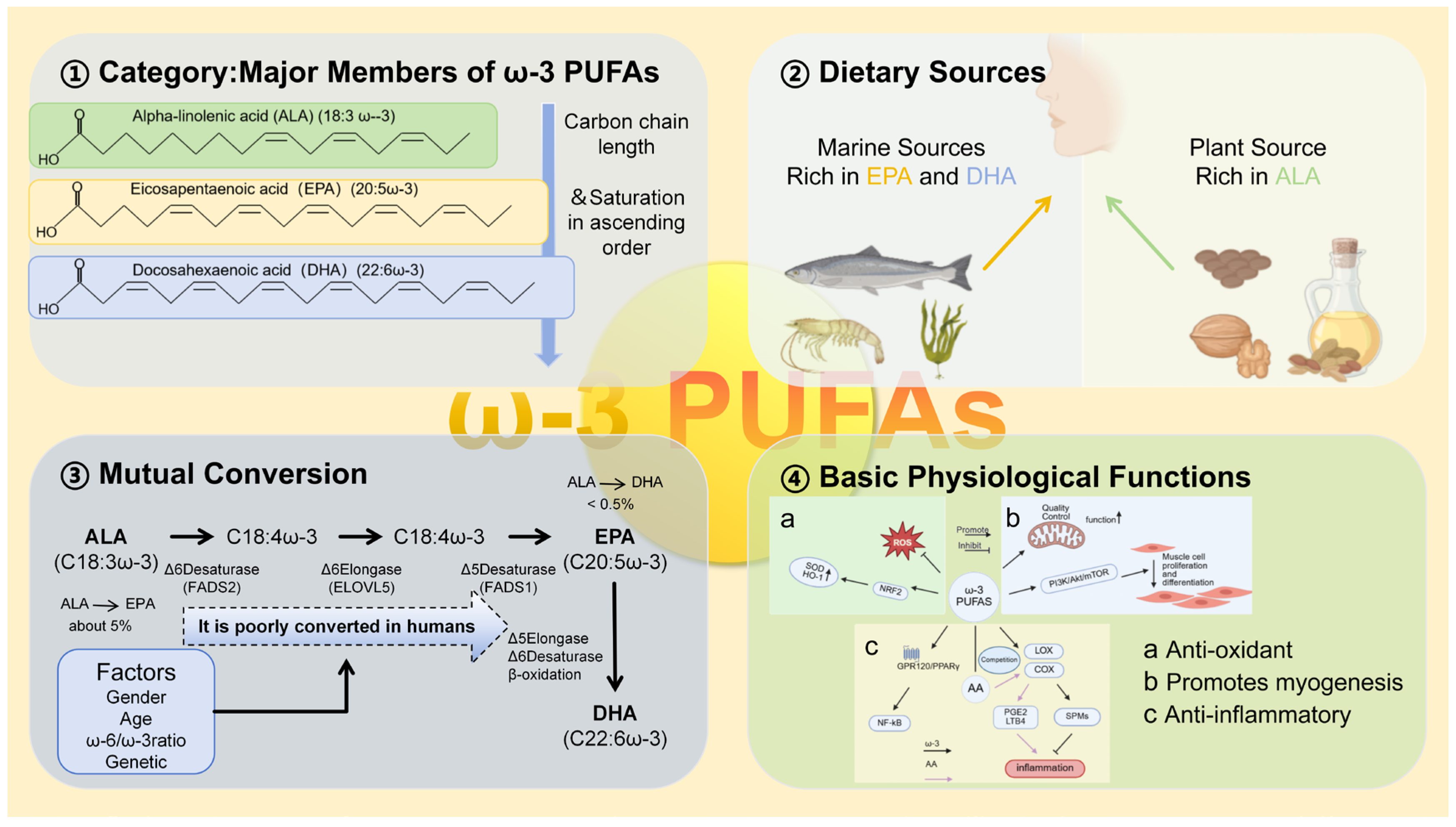 Nutrients 18 01660 g001 Nutrients 18 01660 g001