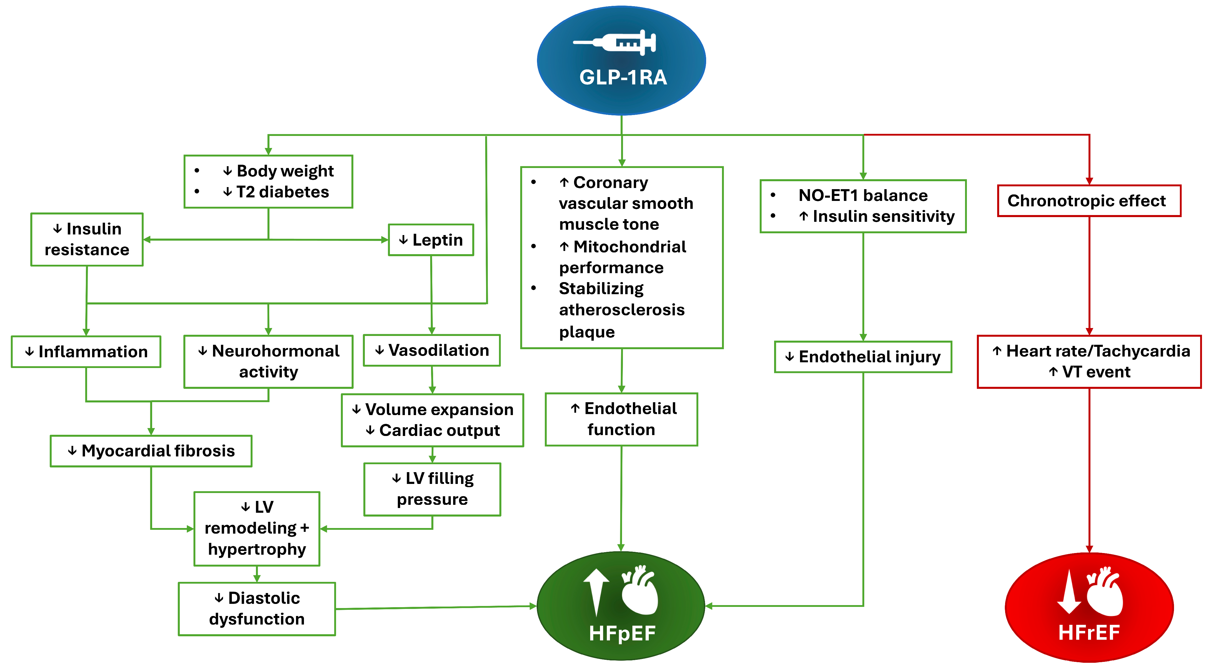 Nutrients 18 01688 g002