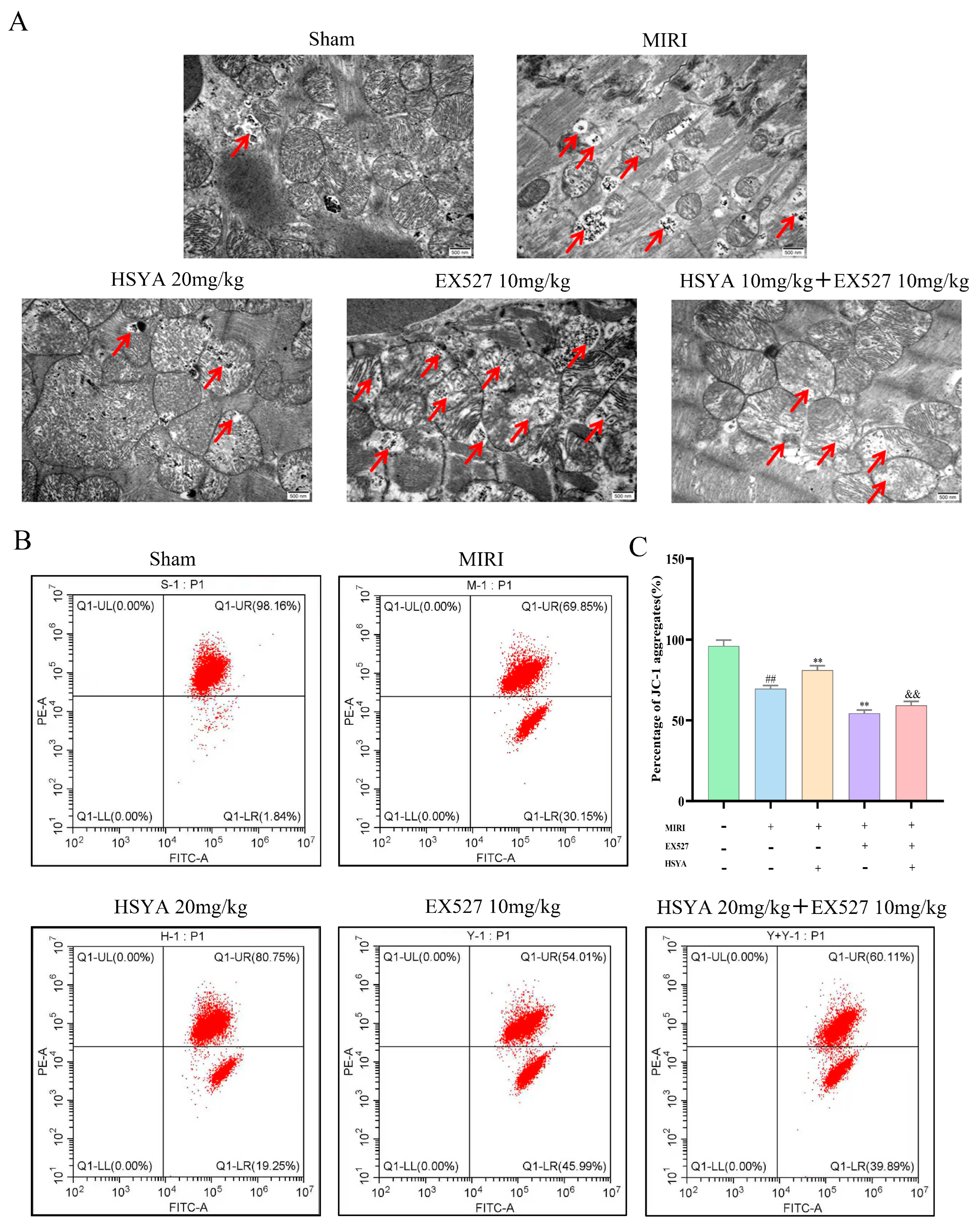 Nutrients 18 01780 g004
