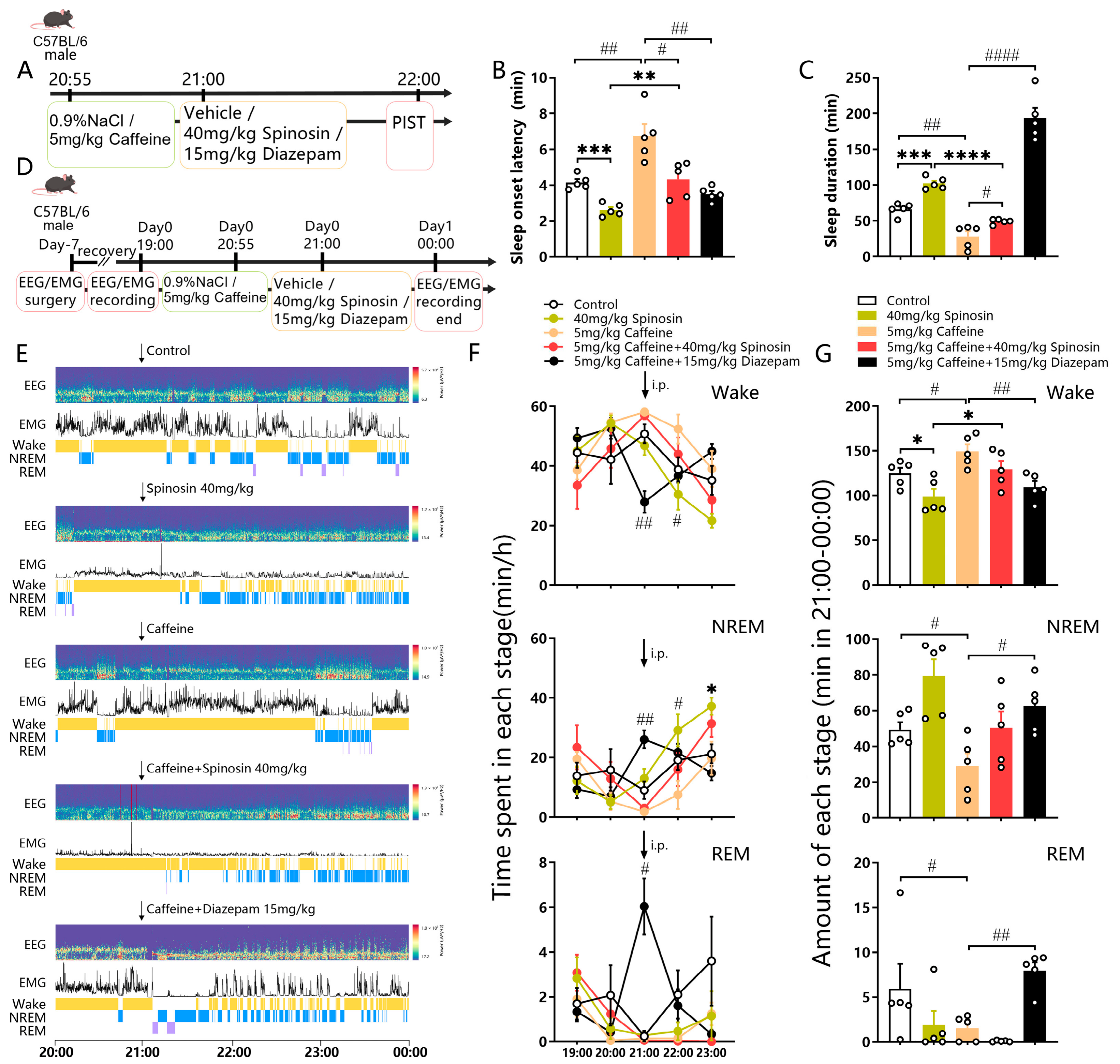 Nutrients 18 01785 g001 Nutrients 18 01785 g001