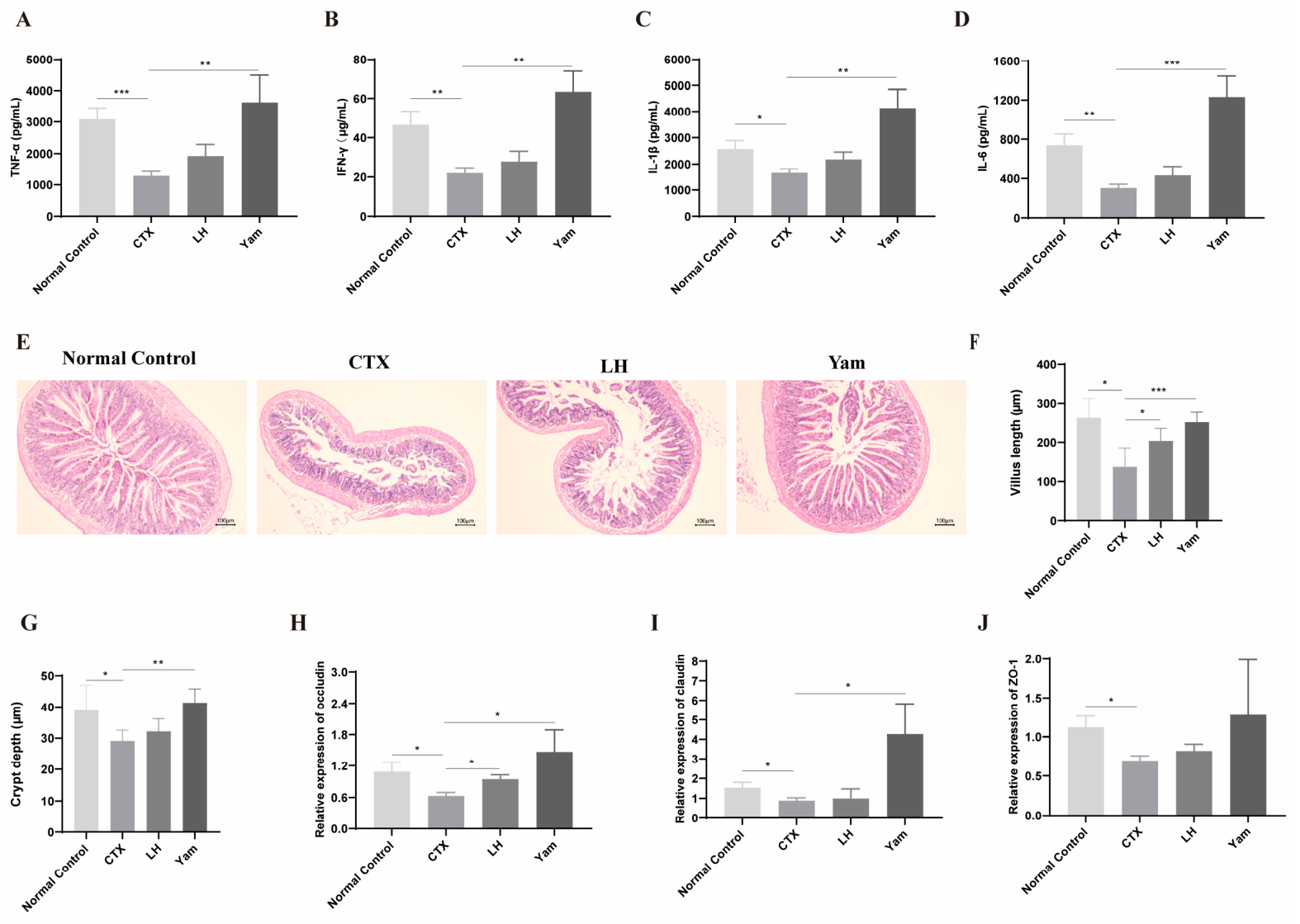 Nutrients 18 01793 g005 Nutrients 18 01793 g005