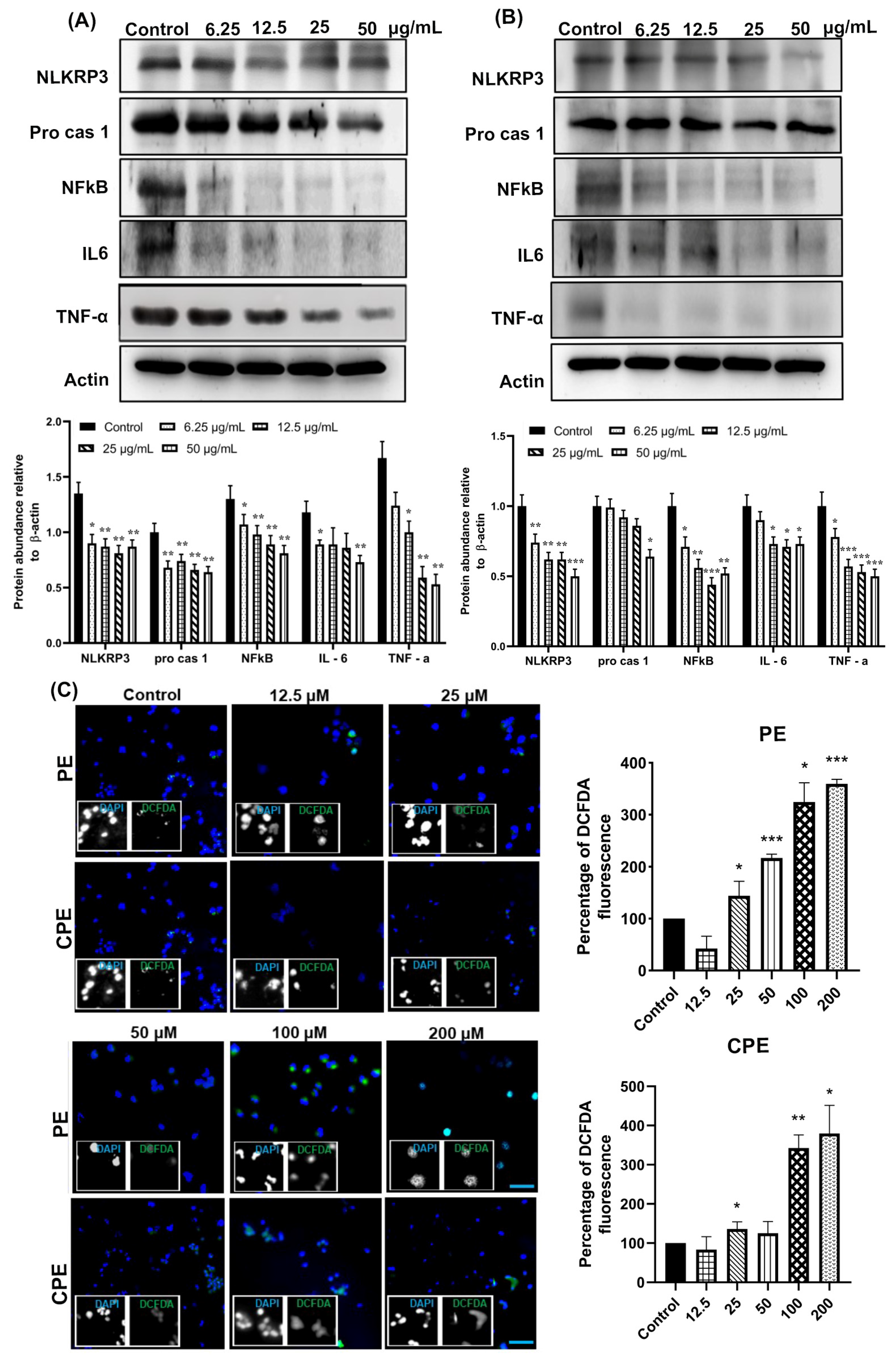Nutrients 18 01862 g003