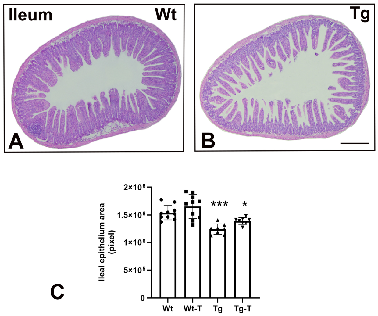 Nutrients 18 01883 g001 Nutrients 18 01883 g001