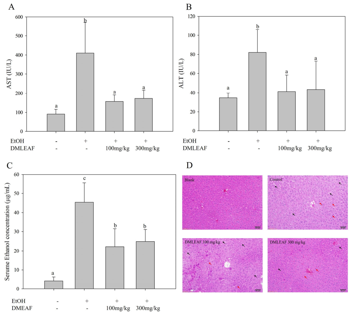 Nutrients 18 01902 g005 Nutrients 18 01902 g005