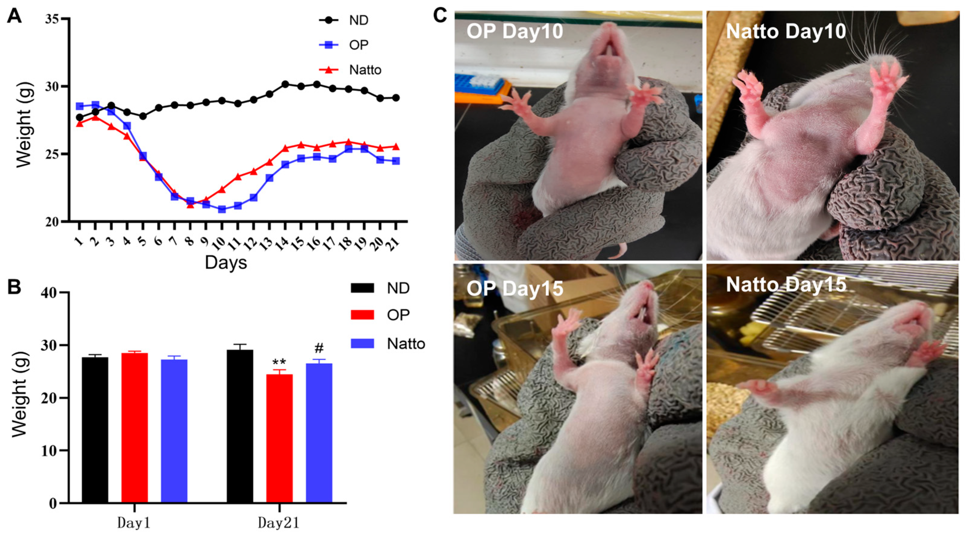 Nutrients 18 01927 g001