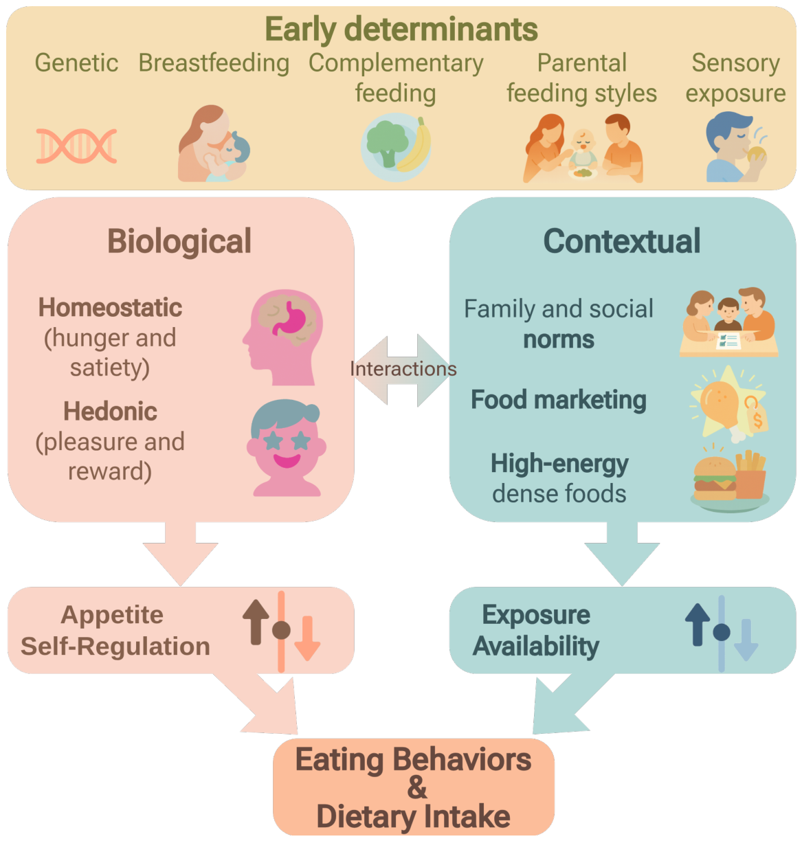 Nutrients 18 02000 g001 Nutrients 18 02000 g001