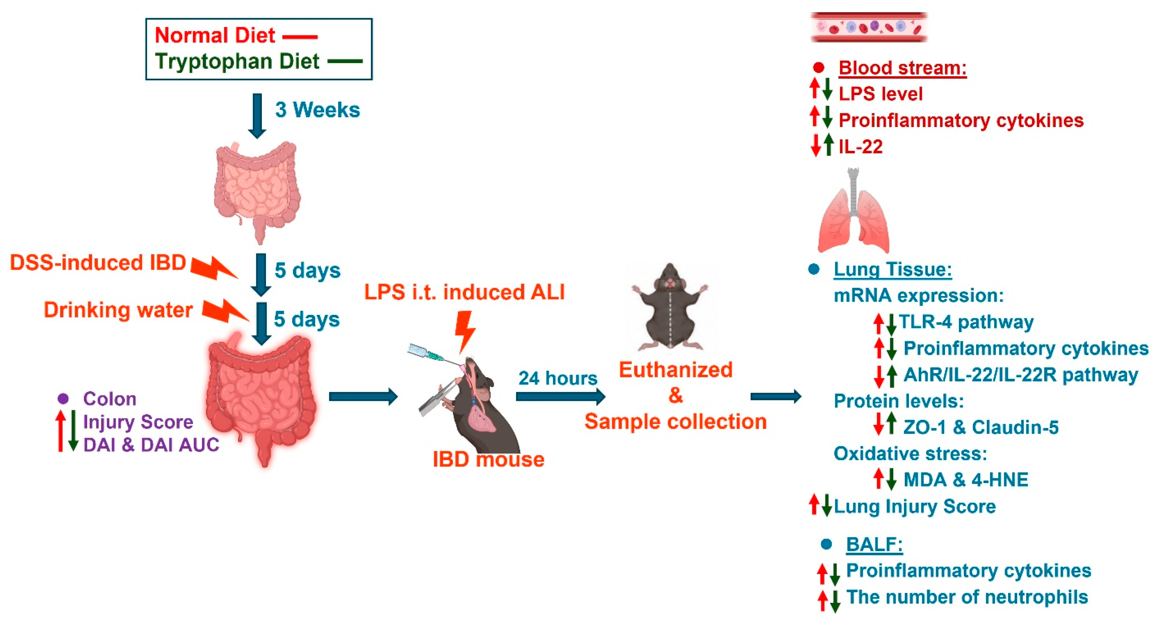 Nutrients 18 02042 g010 Nutrients 18 02042 g010