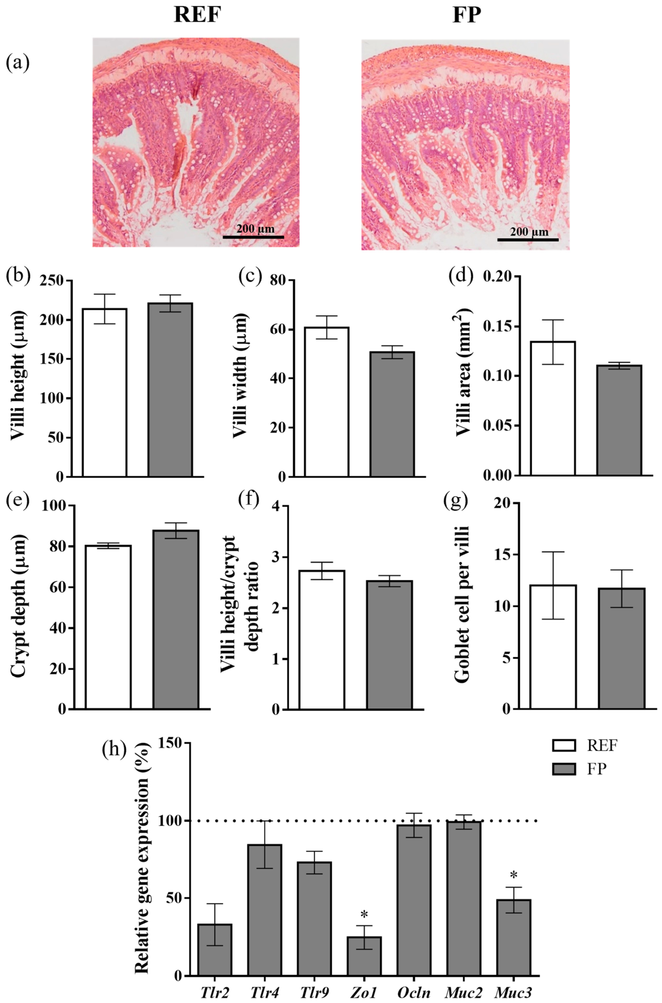 Nutrients 18 02088 g004