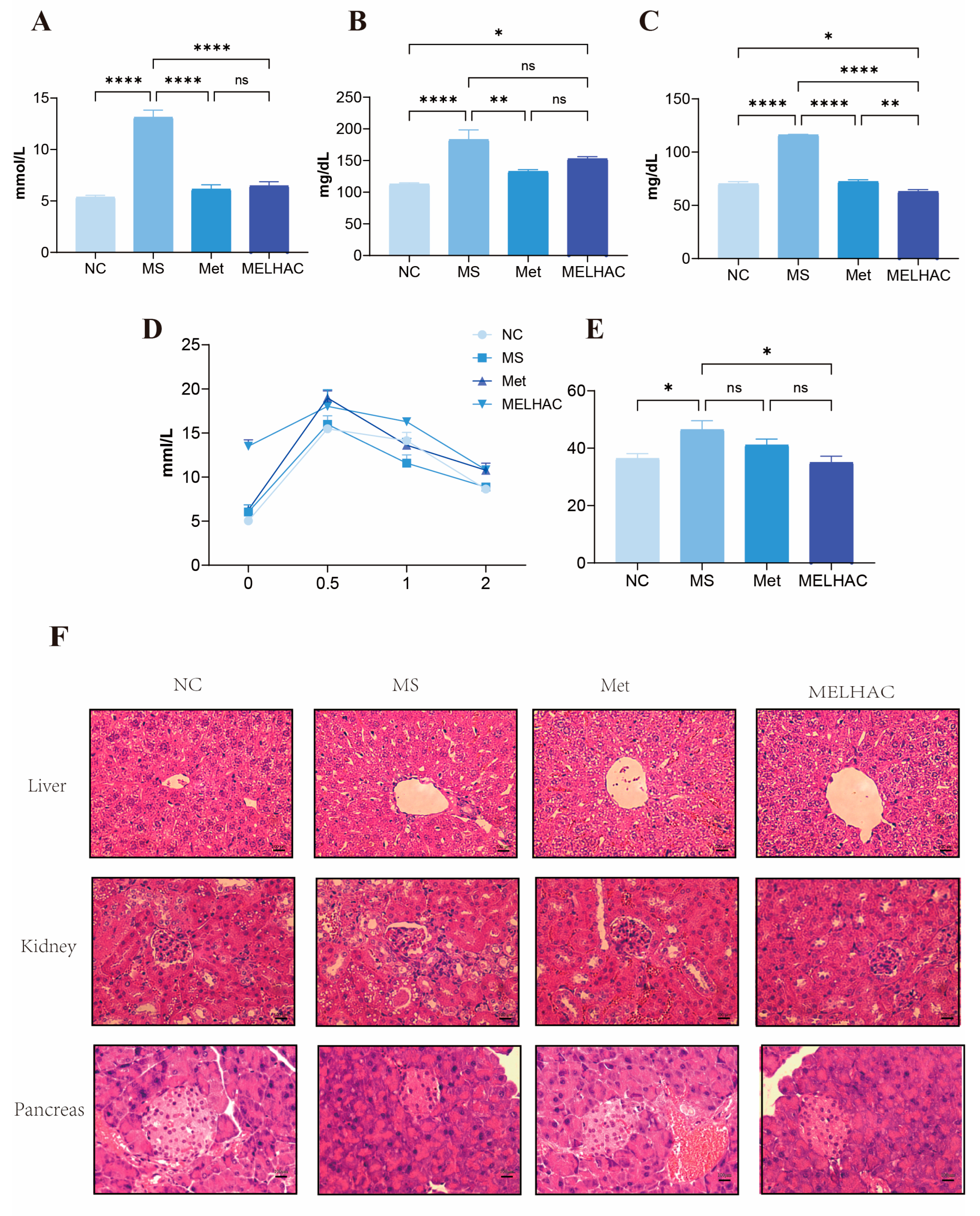 Nutrients 18 02145 g003 Nutrients 18 02145 g003