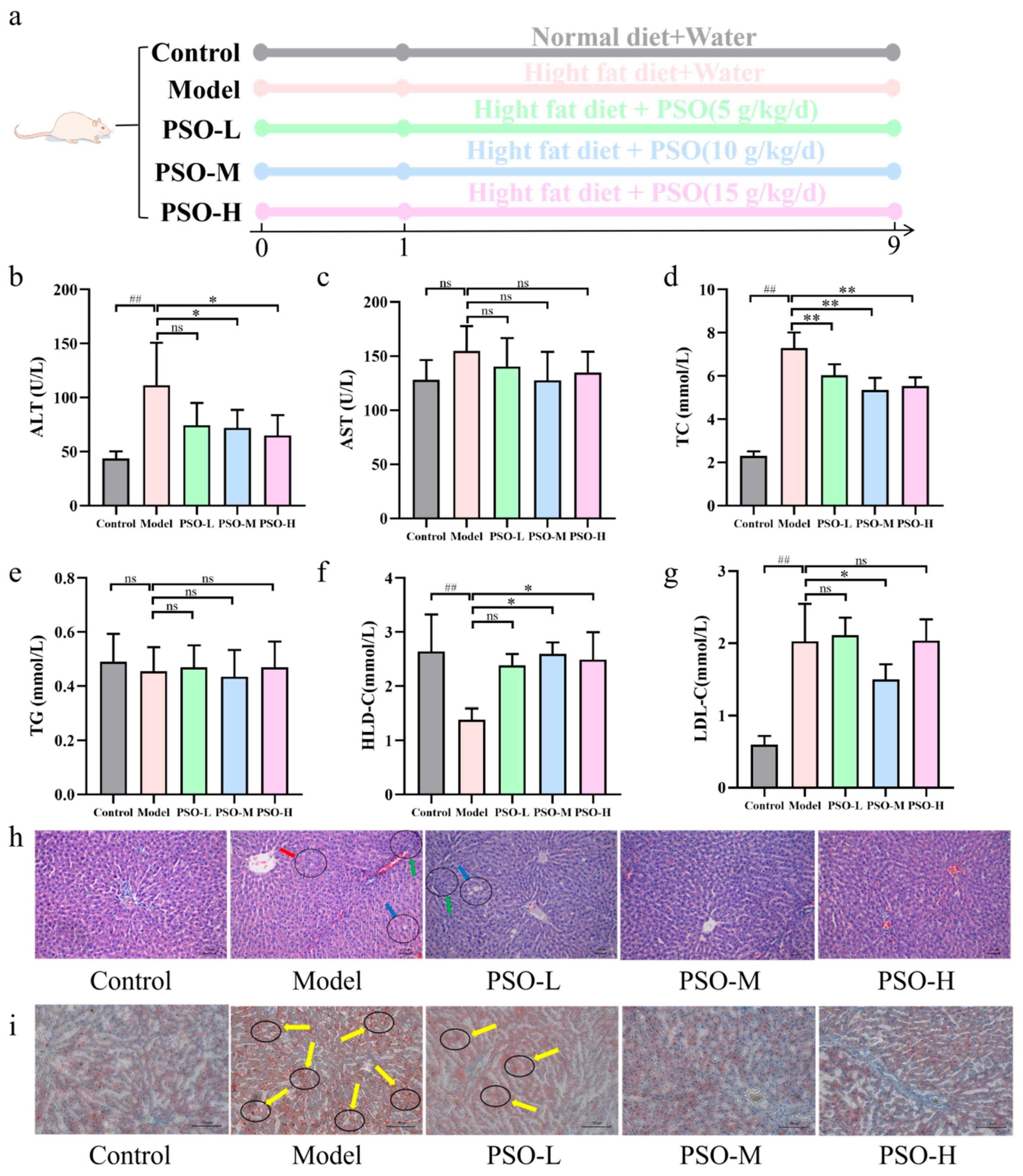 Nutrients 18 02149 g002 Nutrients 18 02149 g002
