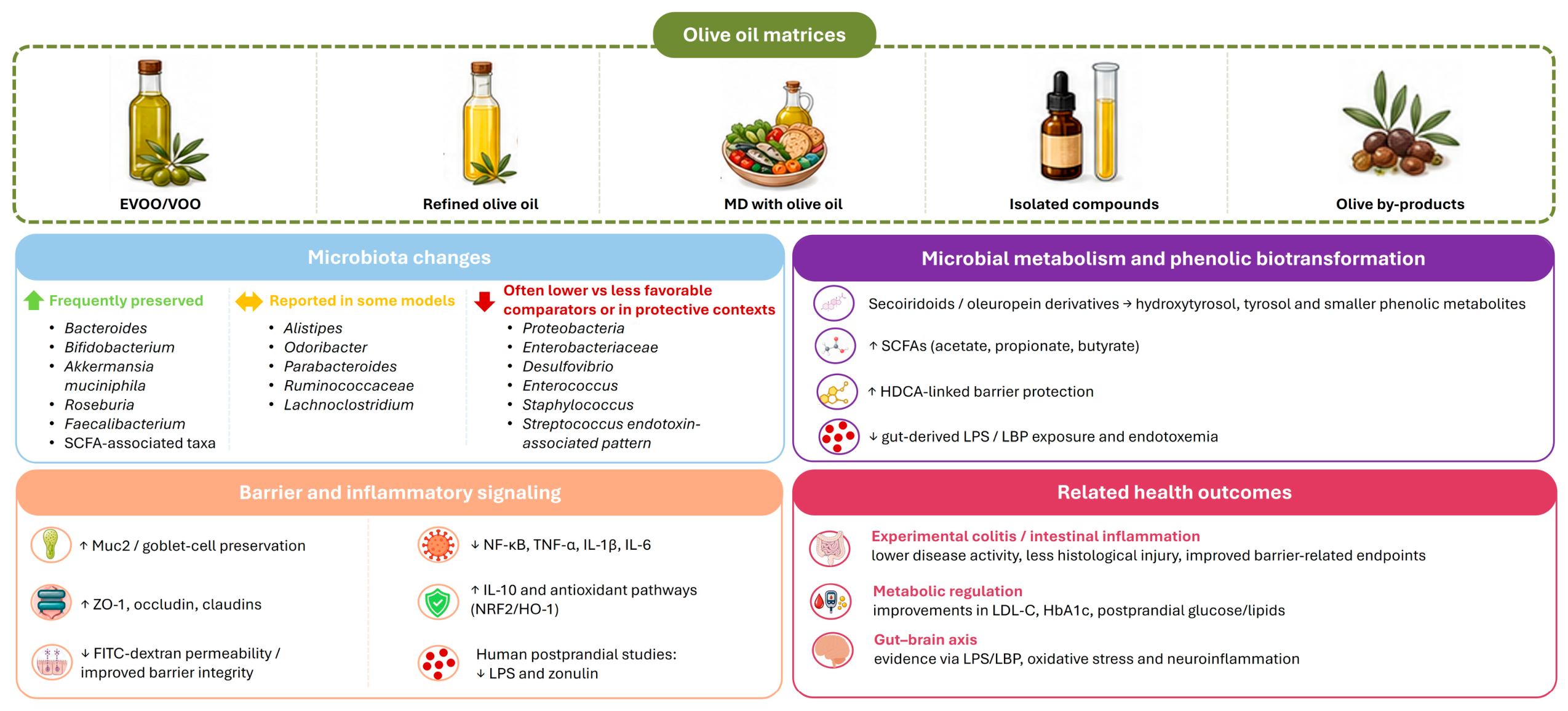 Nutrients 18 02235 g002 Nutrients 18 02235 g002