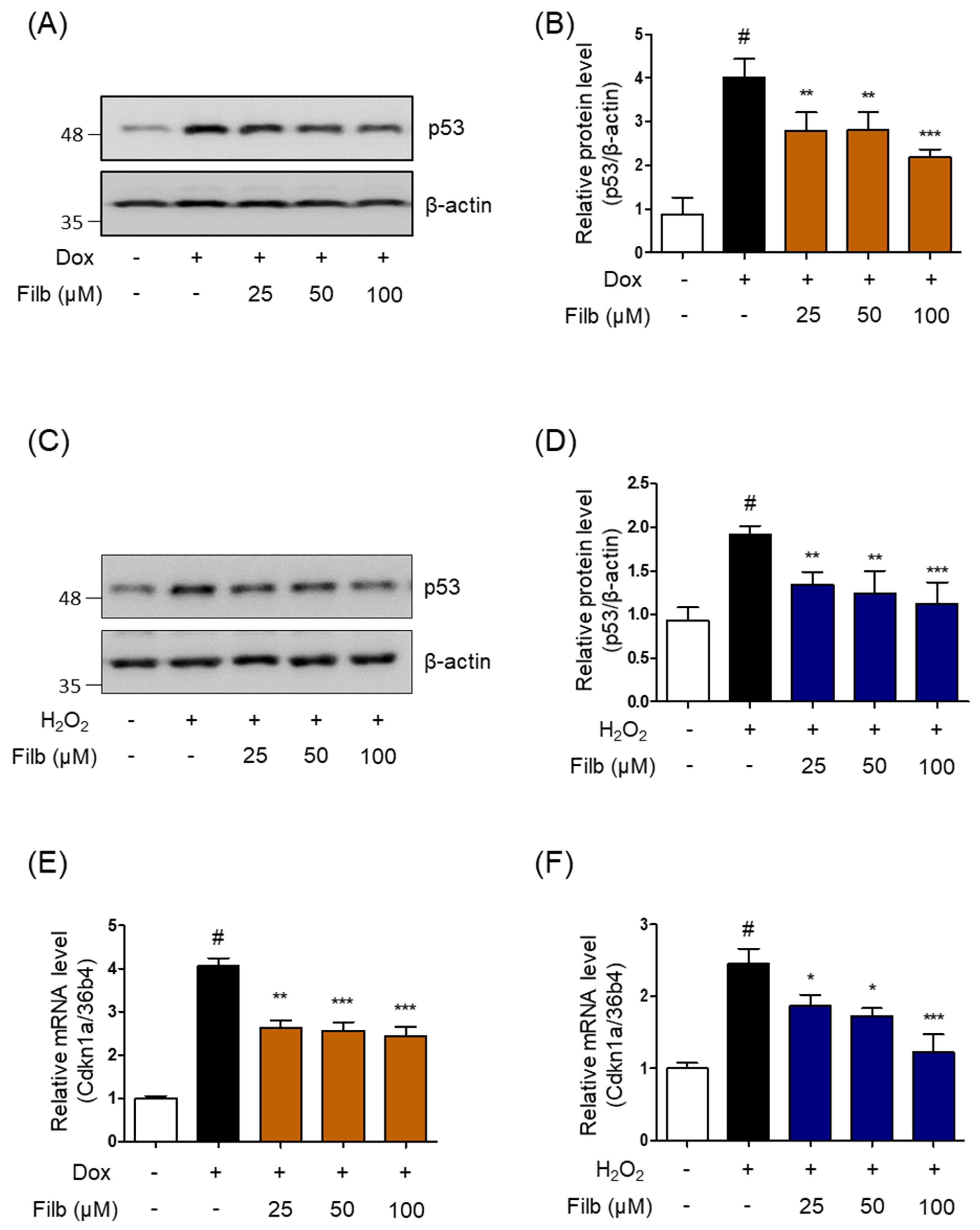 Nutrients 18 02278 g002