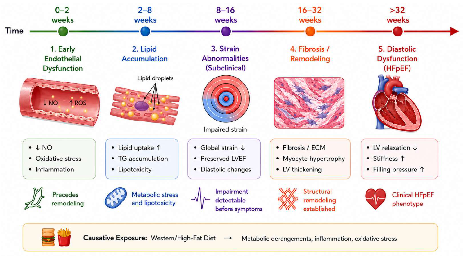 Nutrients 18 02451 g002 Nutrients 18 02451 g002