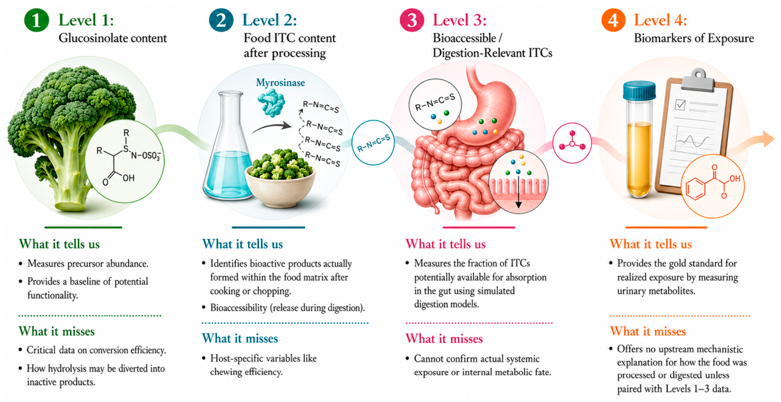 Nutrients 18 02624 g003 Nutrients 18 02624 g003
