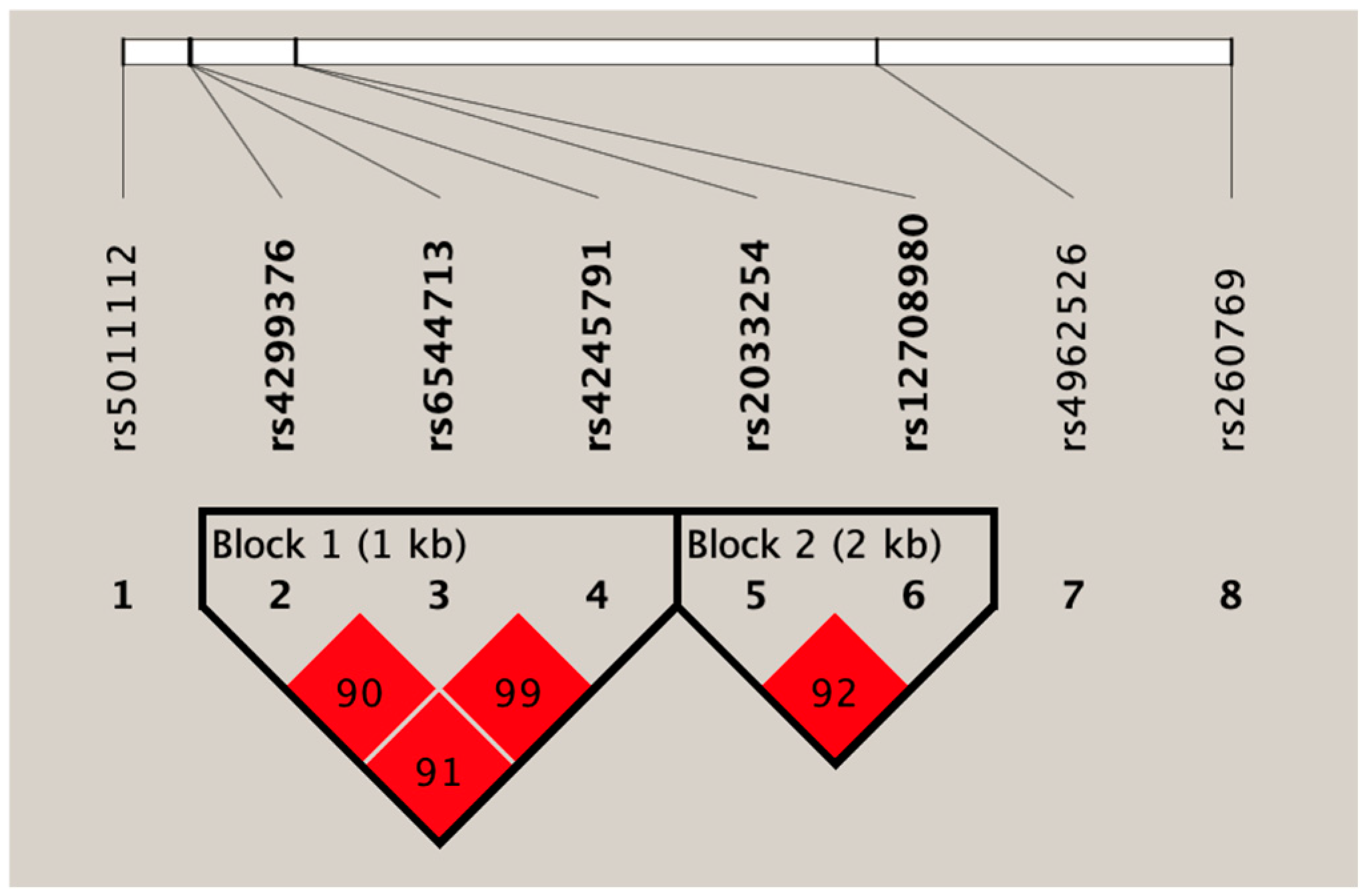 Nutrients 18 02679 g004 Nutrients 18 02679 g004