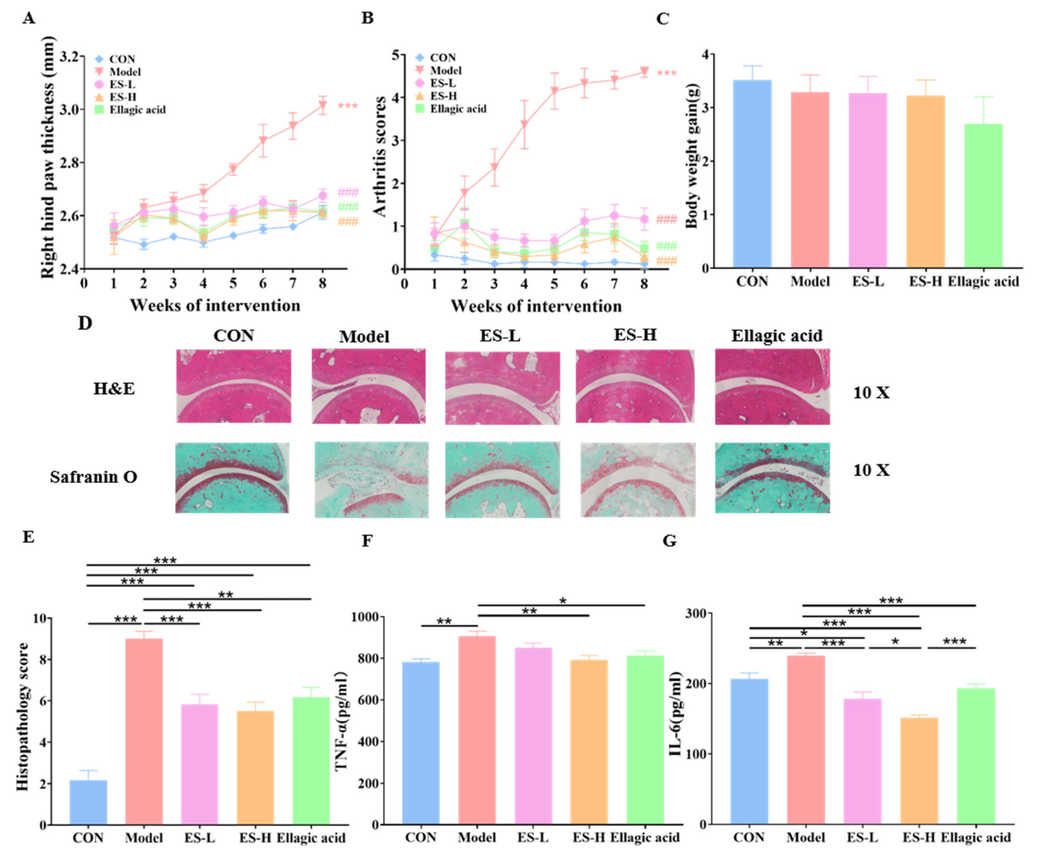 Nutrients 18 02683 g003 Nutrients 18 02683 g003
