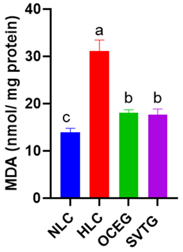 Nutrients 18 02766 g004 Nutrients 18 02766 g004