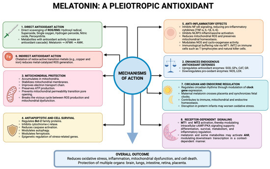 melatonin vs glutathione antioxidant Clinical Use of as a Cross-Sectional Modulator of Oxidative Stress Across the Perinatal Continuum: From Placental Dysfunction to Neonatal Disease Niacinamida FOXO4-DRI Peptide: Free Benefits Quantity:2 Bottles（Two bottles save nearly $16）
