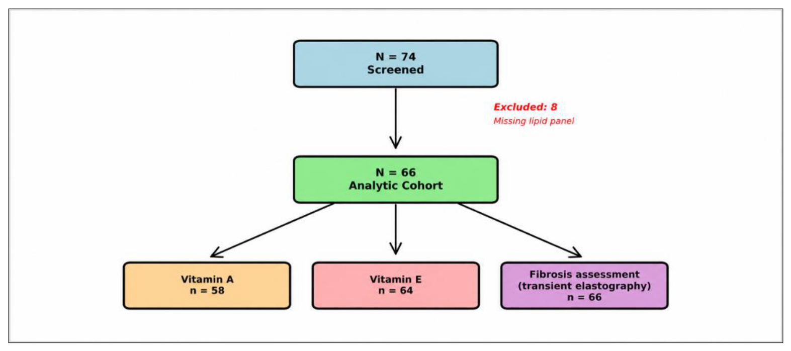 Nutrients 18 03283 g001