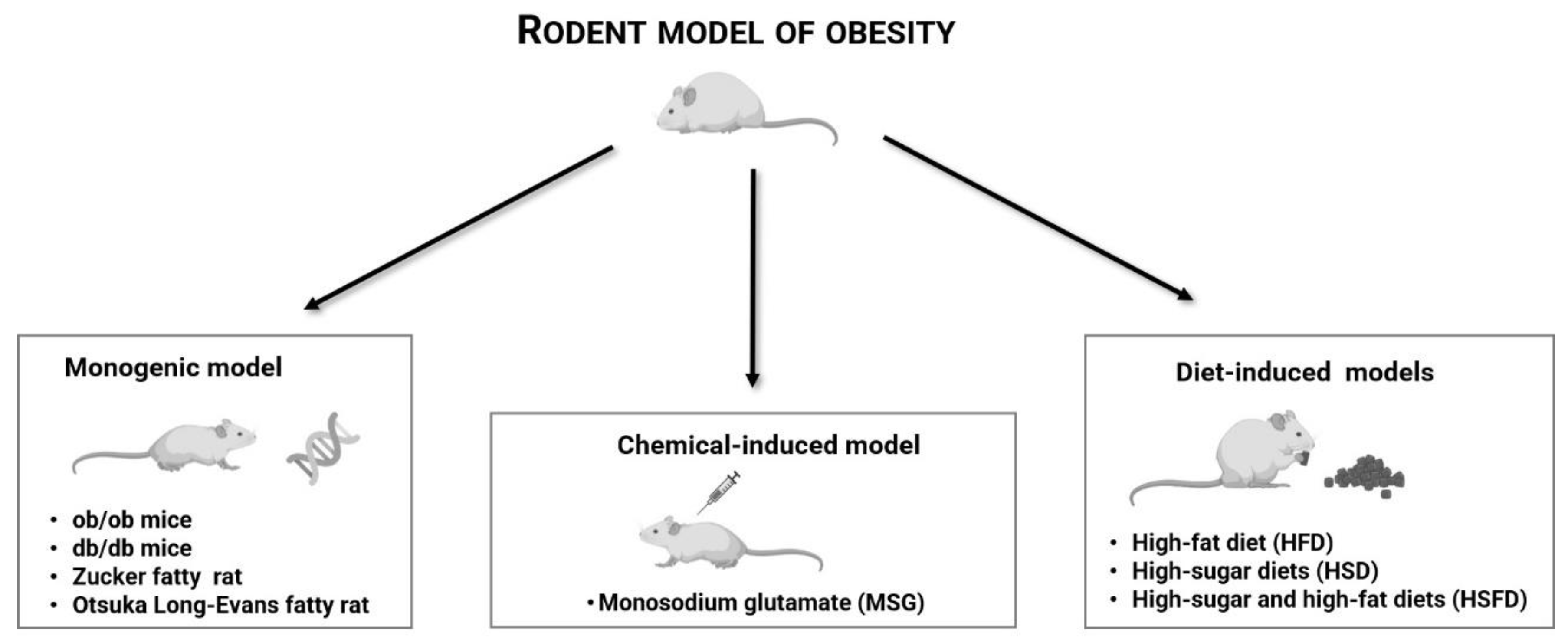 Obesities | Free Full-Text | Obesity Rodent Models Applied to Research with  Food Products and Natural Compounds