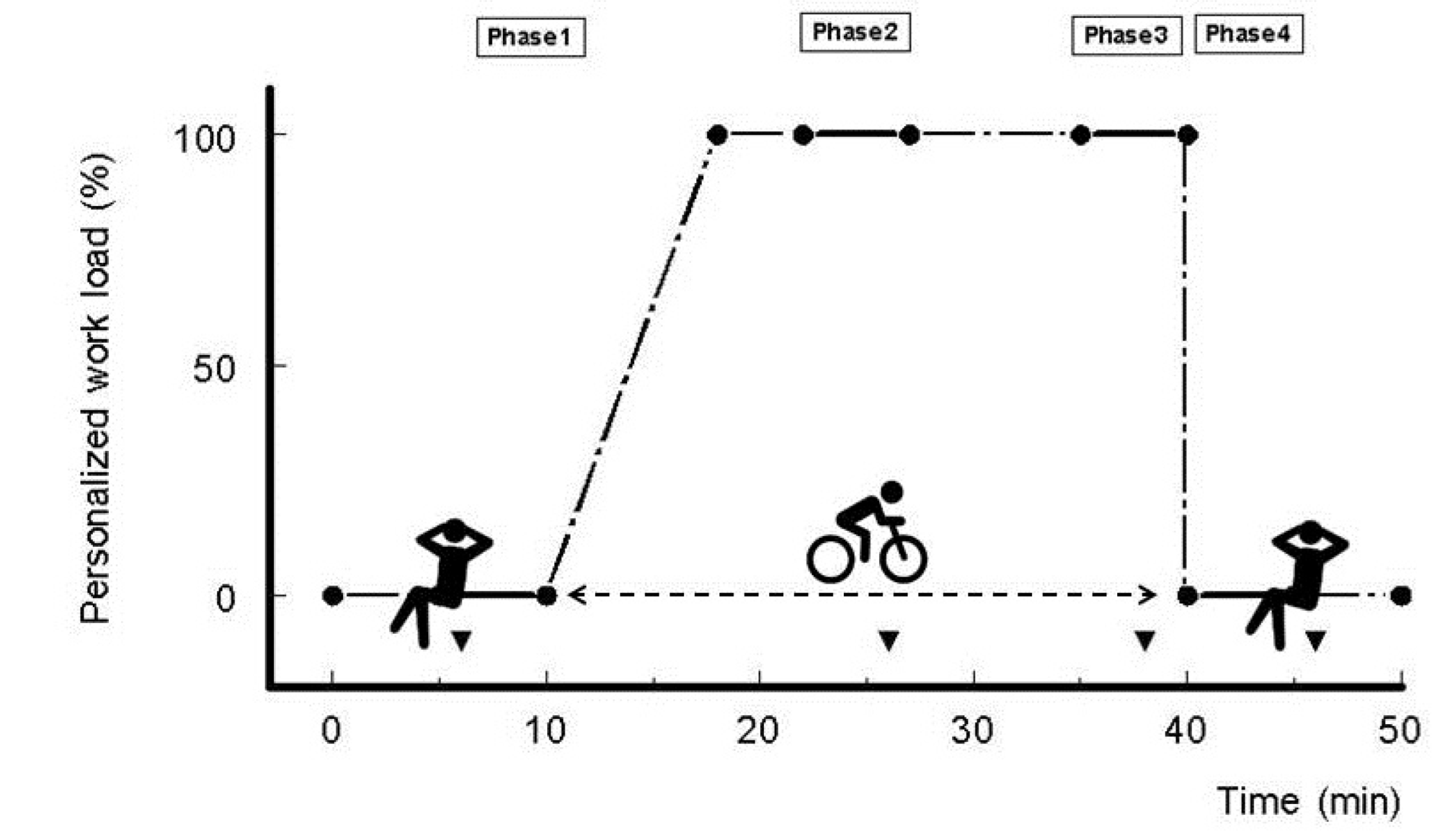 Obesities 02 00016 g001
