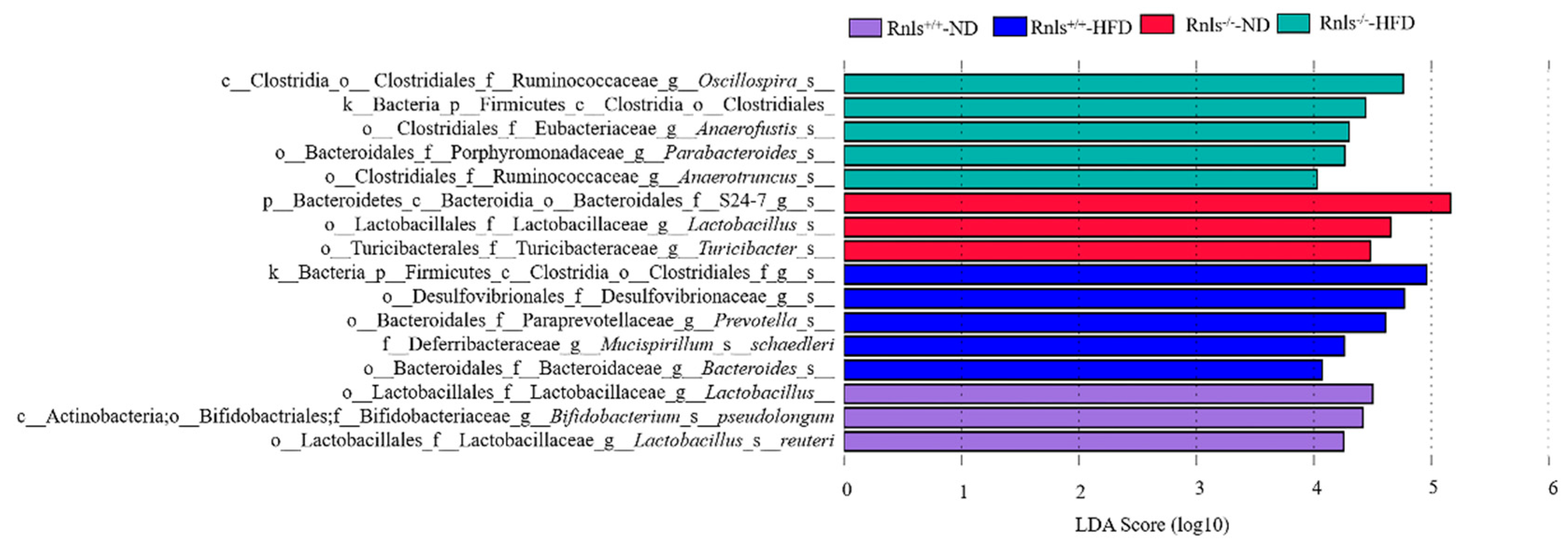 Obesities 02 00025 g006 Obesities 02 00025 g006