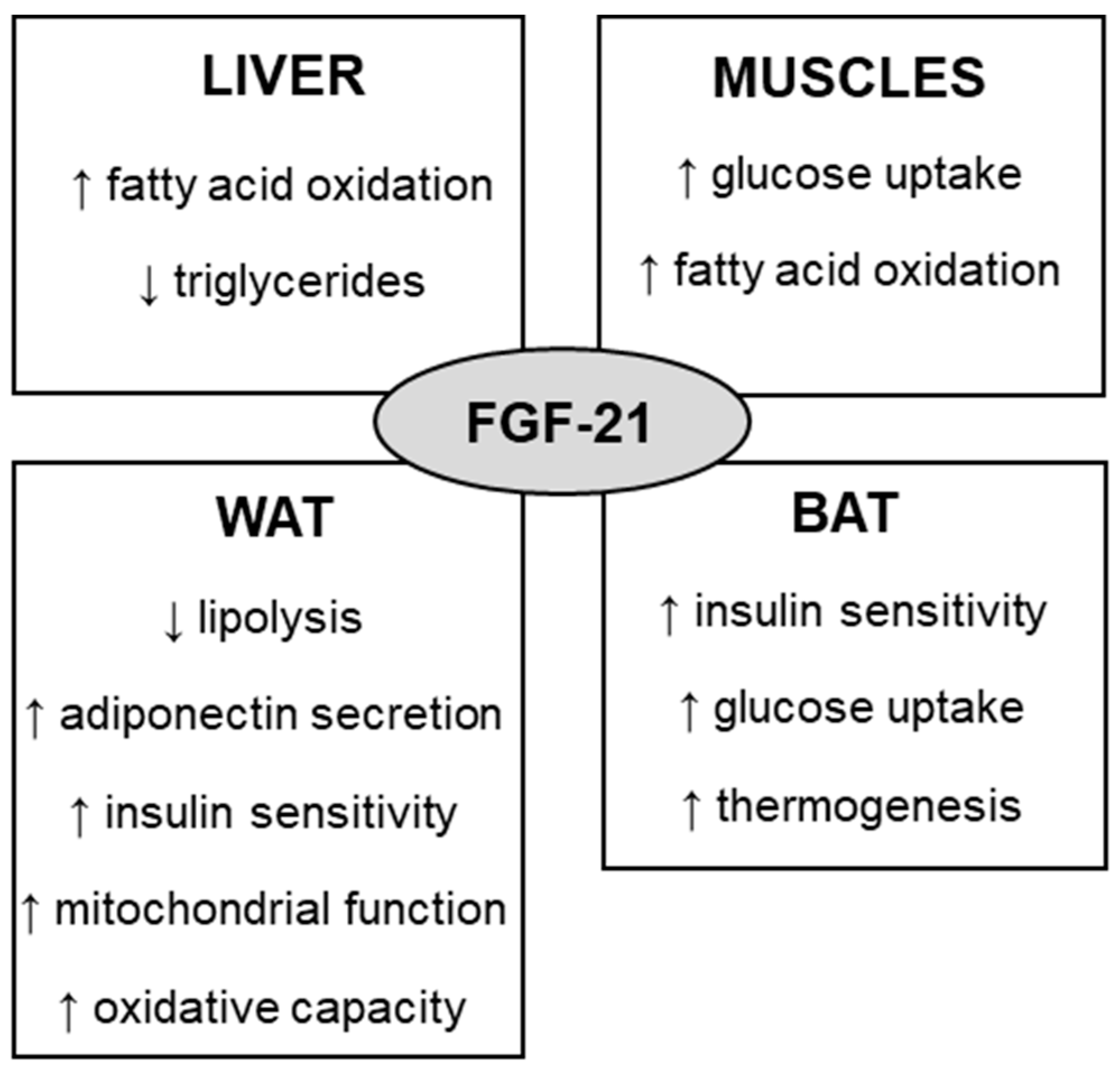 Obesities 02 00031 g001