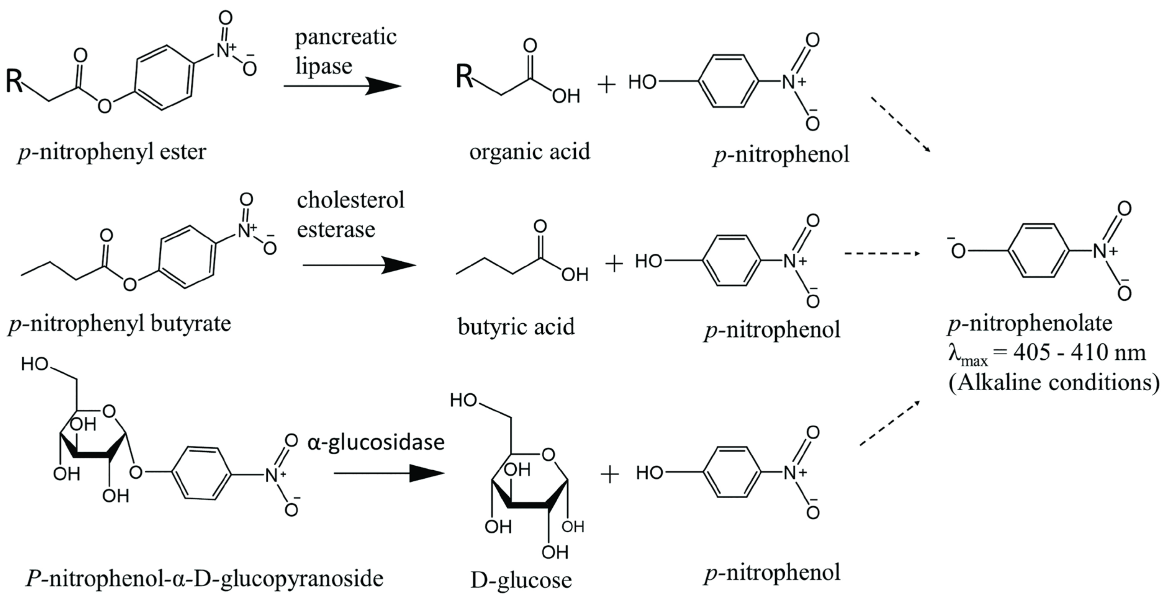 Obesities 03 00003 g001
