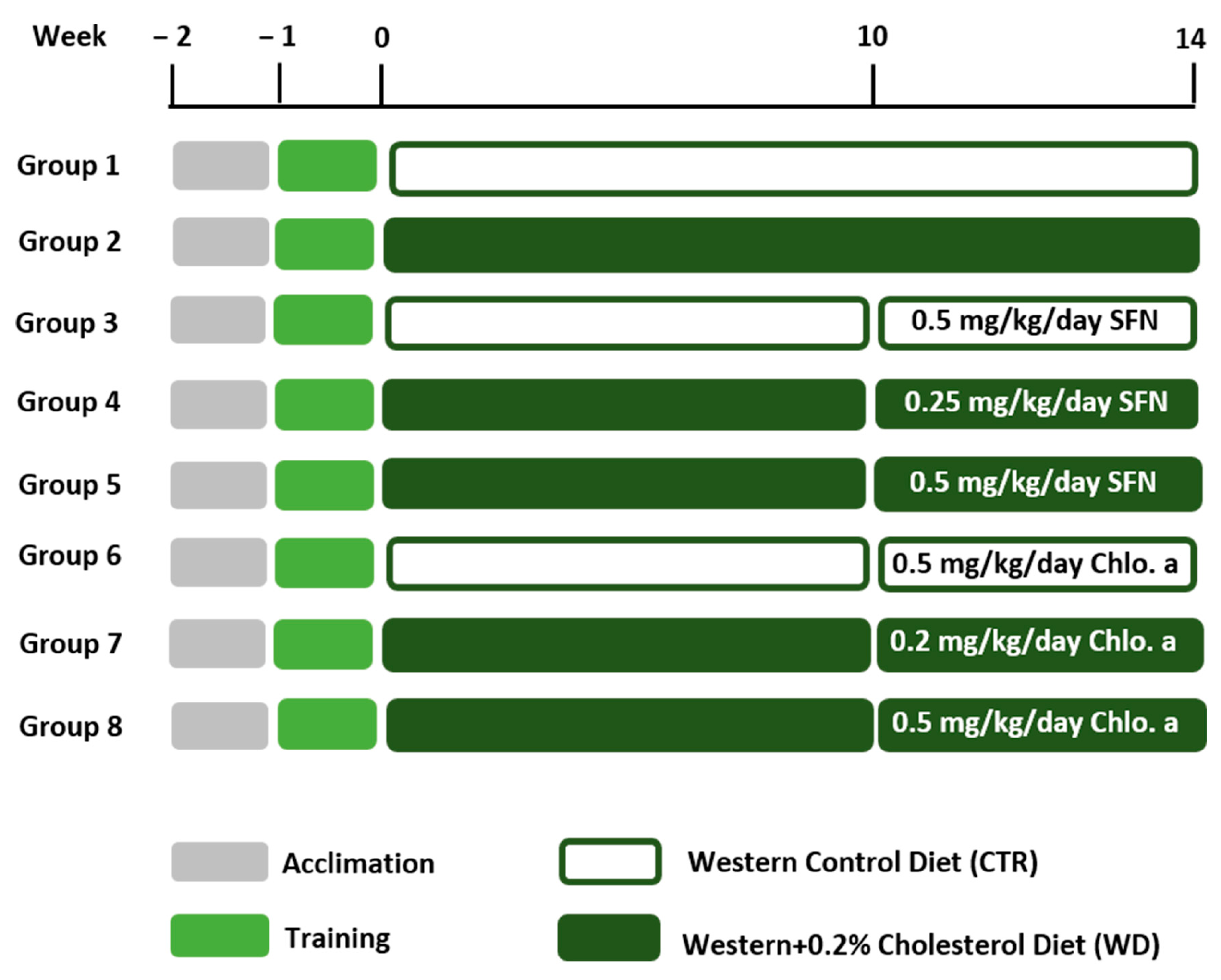 In Vivo Mouse Micronucleus Test - STEMart