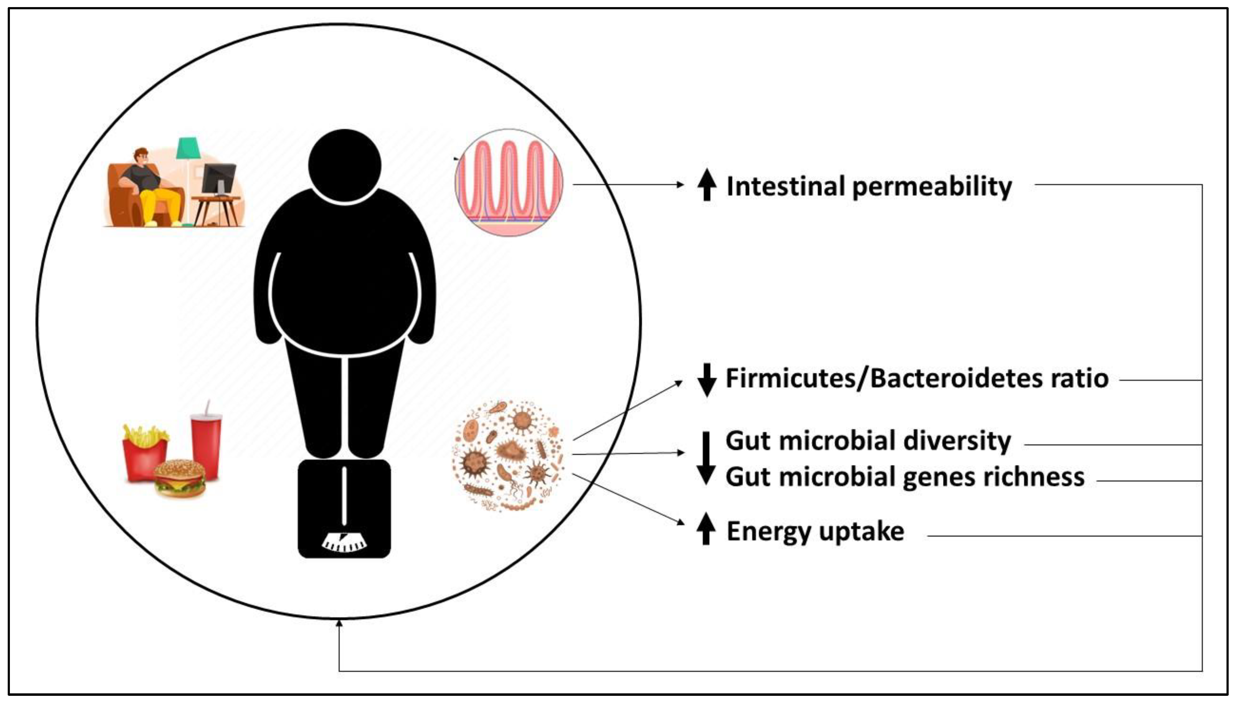 Obesities 03 00024 g002