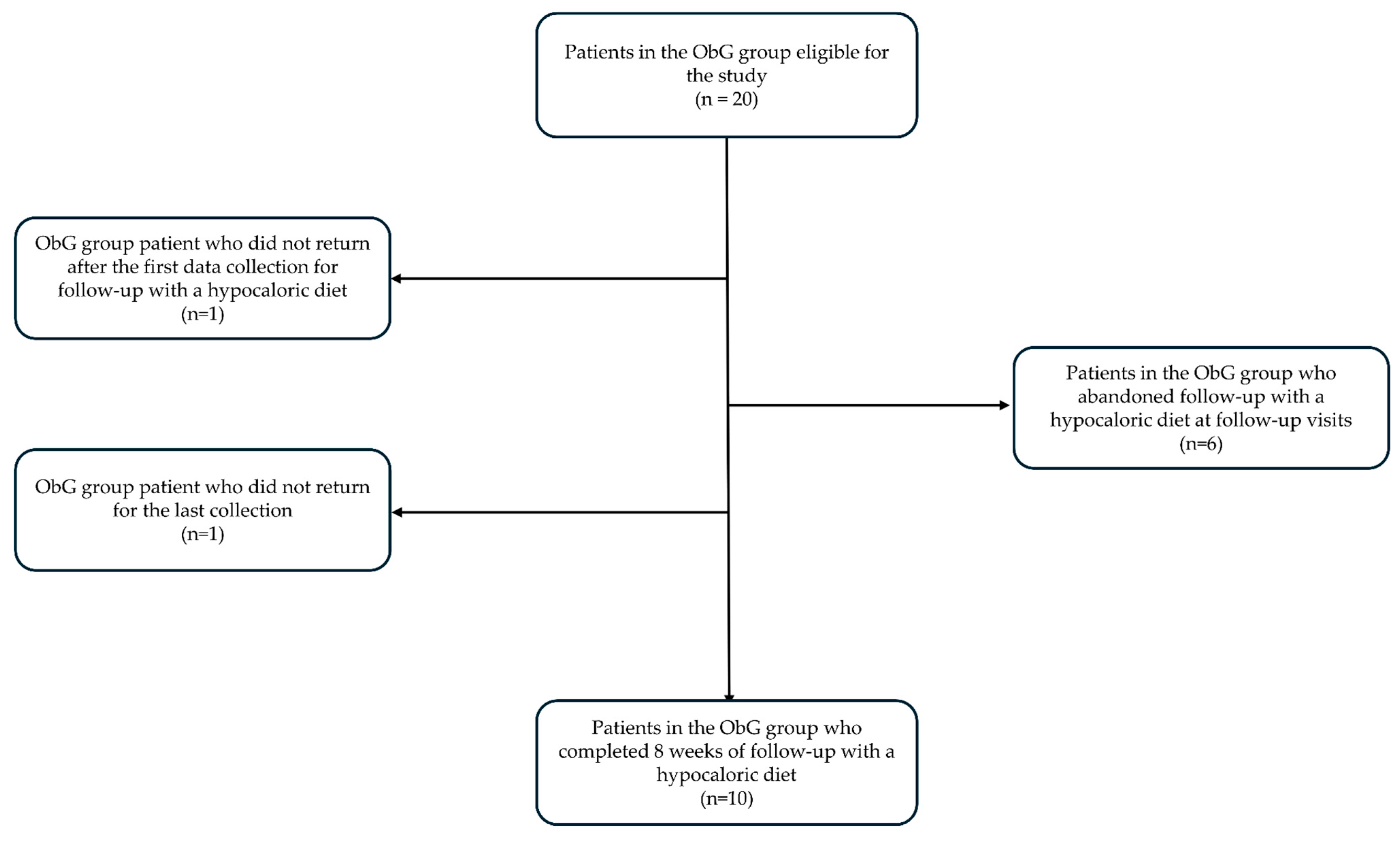 Obesities 04 00005 g001